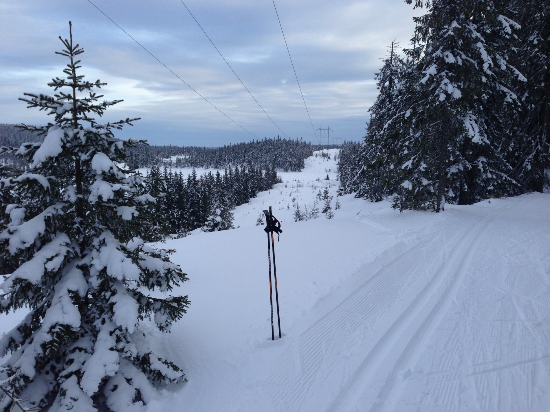 På høyeste punkt ved Fjellsjøen