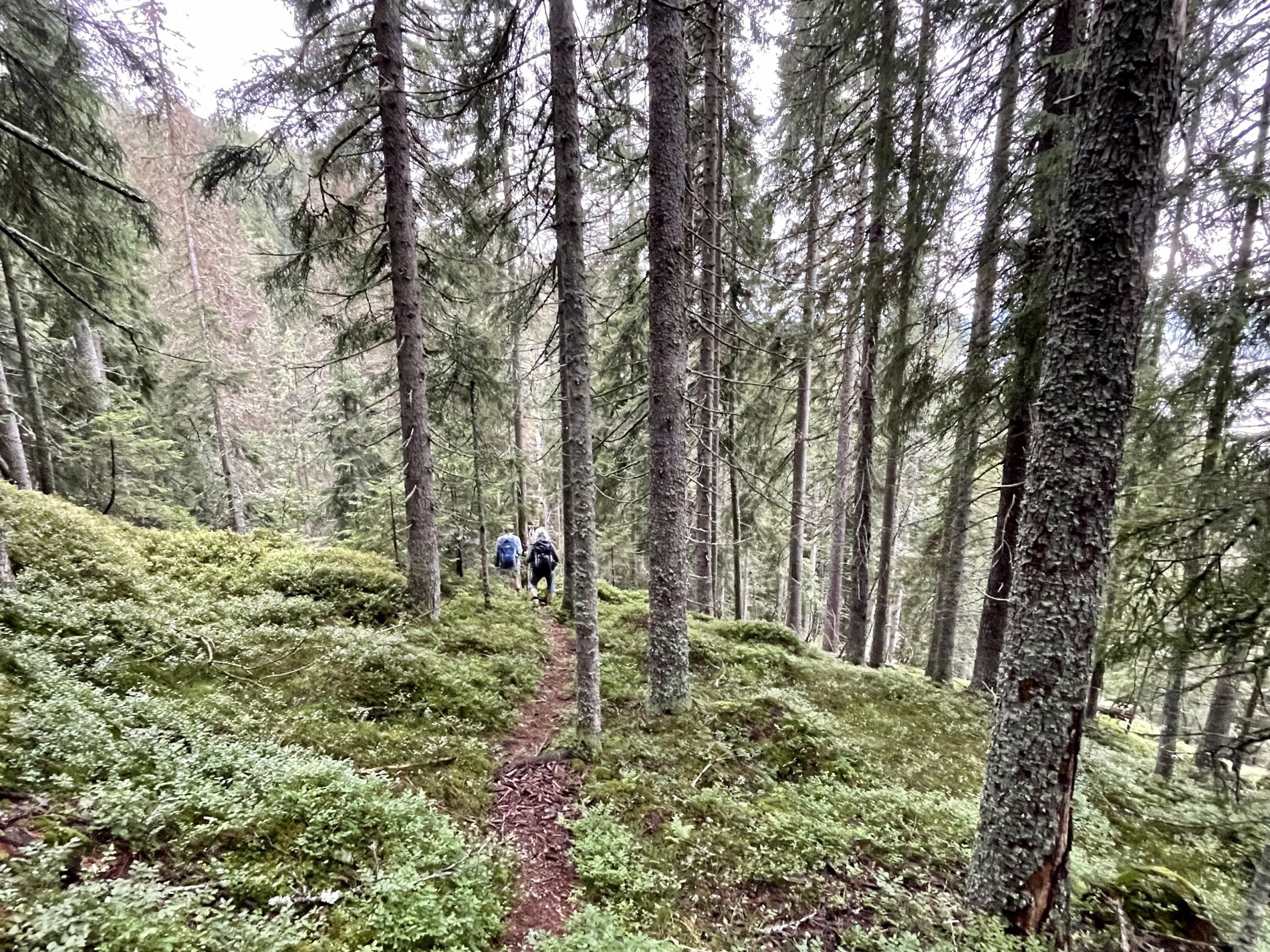På kanten av Askerudjuvet og naturreservatet