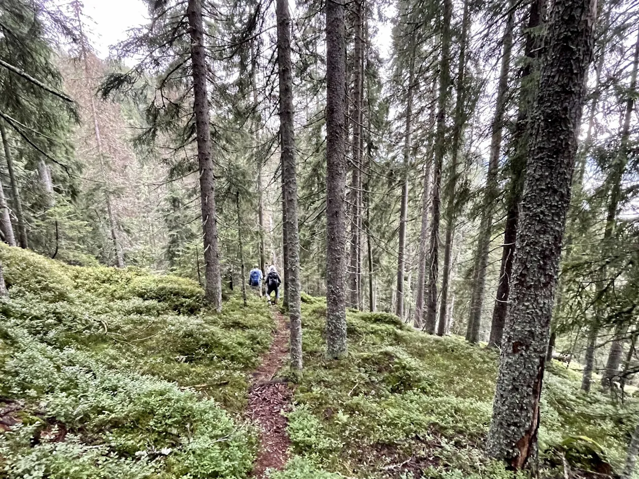 På kanten av Askerudjuvet og naturreservatet På kanten av Askerudjuvet og naturreservatet
