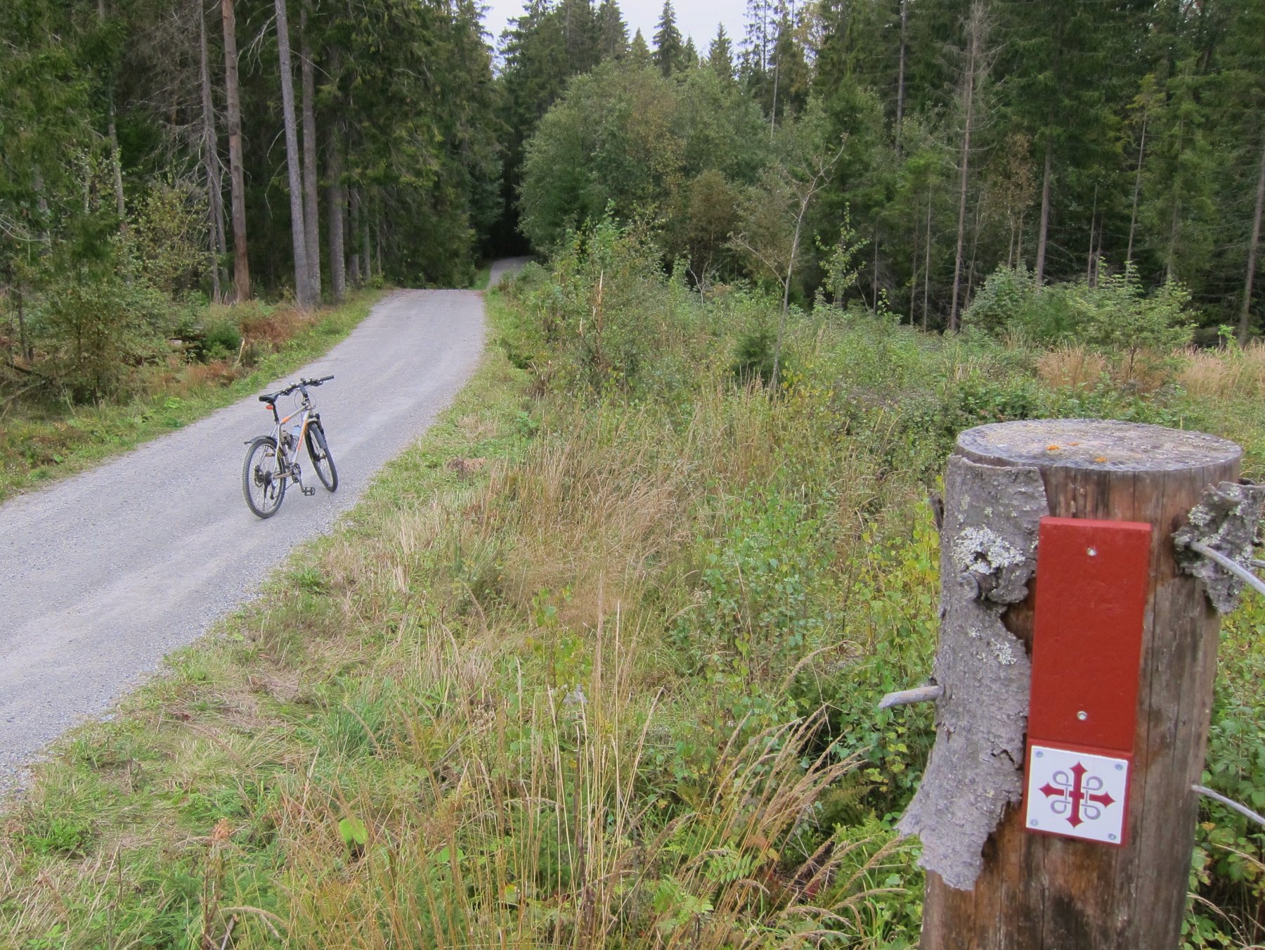 På kongevei gjennom Nøstvedtmarka