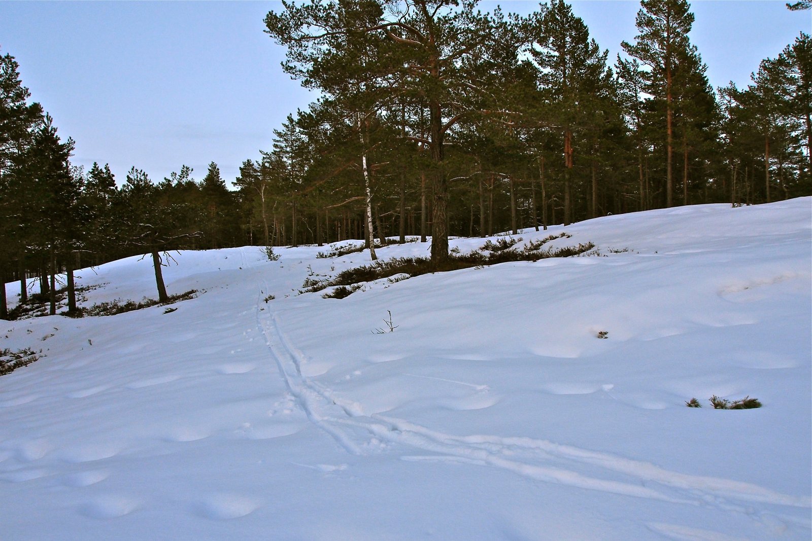 På kryss og tvers over Høiås