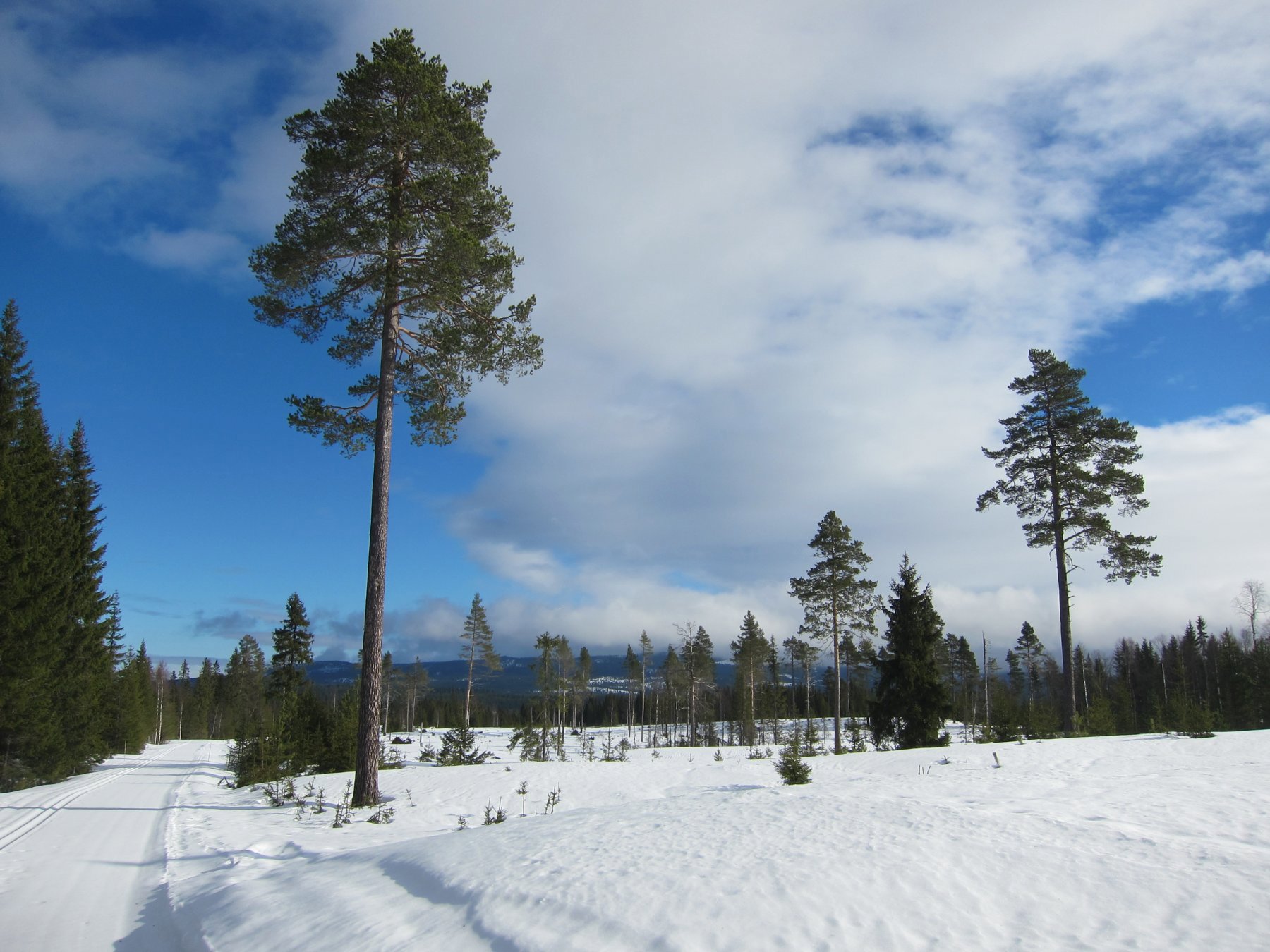 På Kvikstadsetervegen