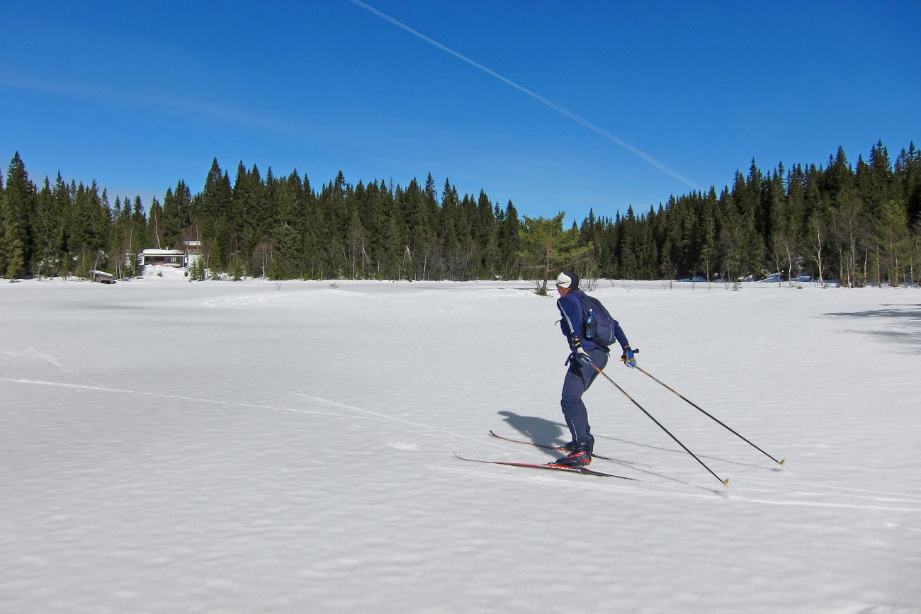 På langtur i fristil