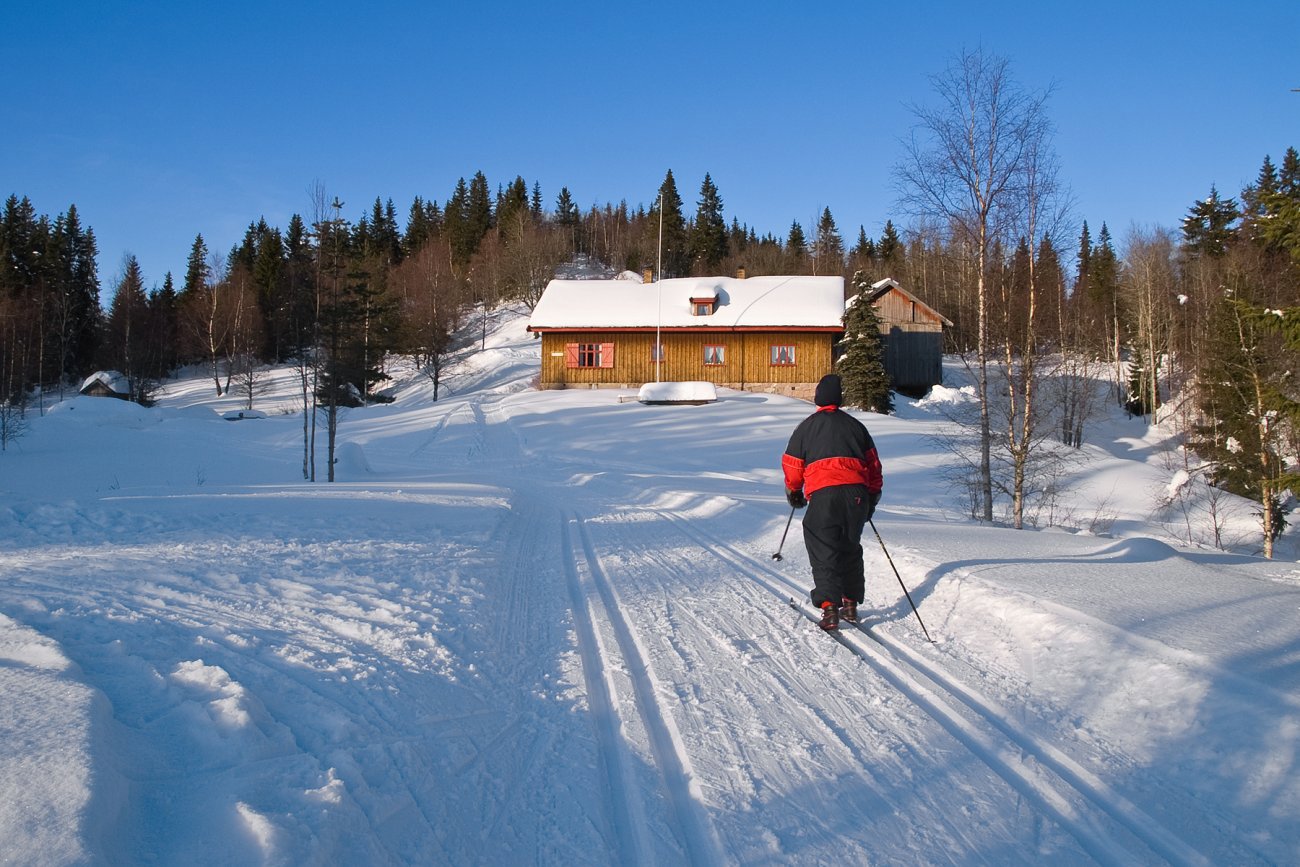 På mandagstur til Sørskogen