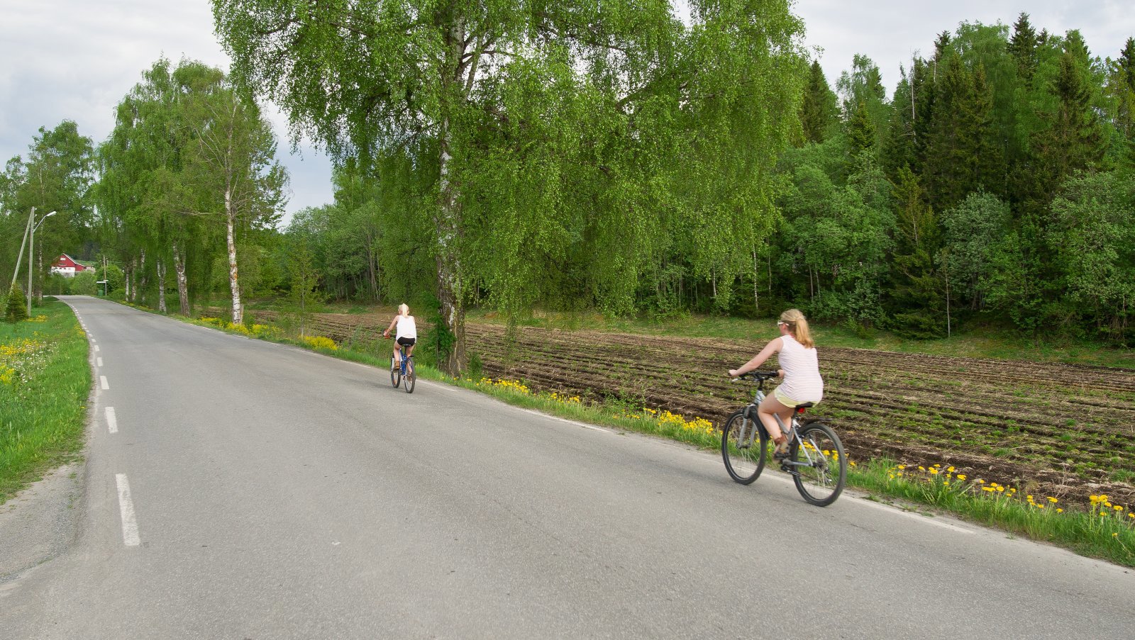 På nordsiden av Nordmarka