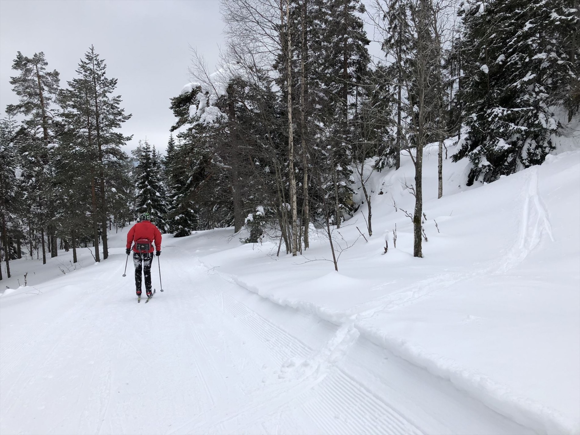 På oppdagelsesferd i Turtermarka