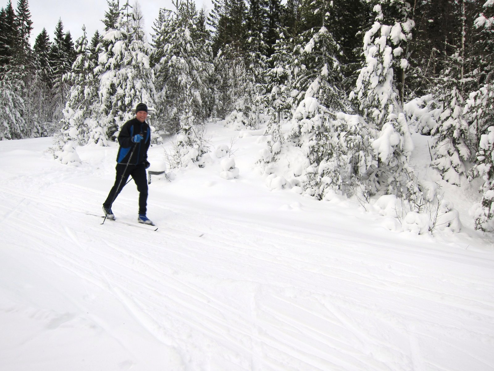 På rundtur ved Grønnsjøkoia
