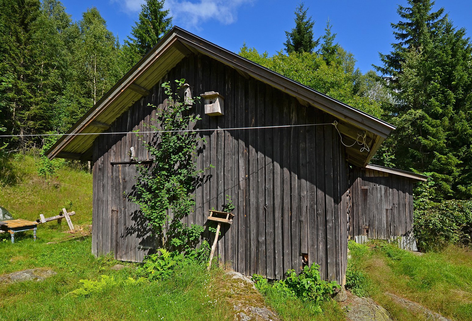 På Ryensetra har de omsorg for fuglene