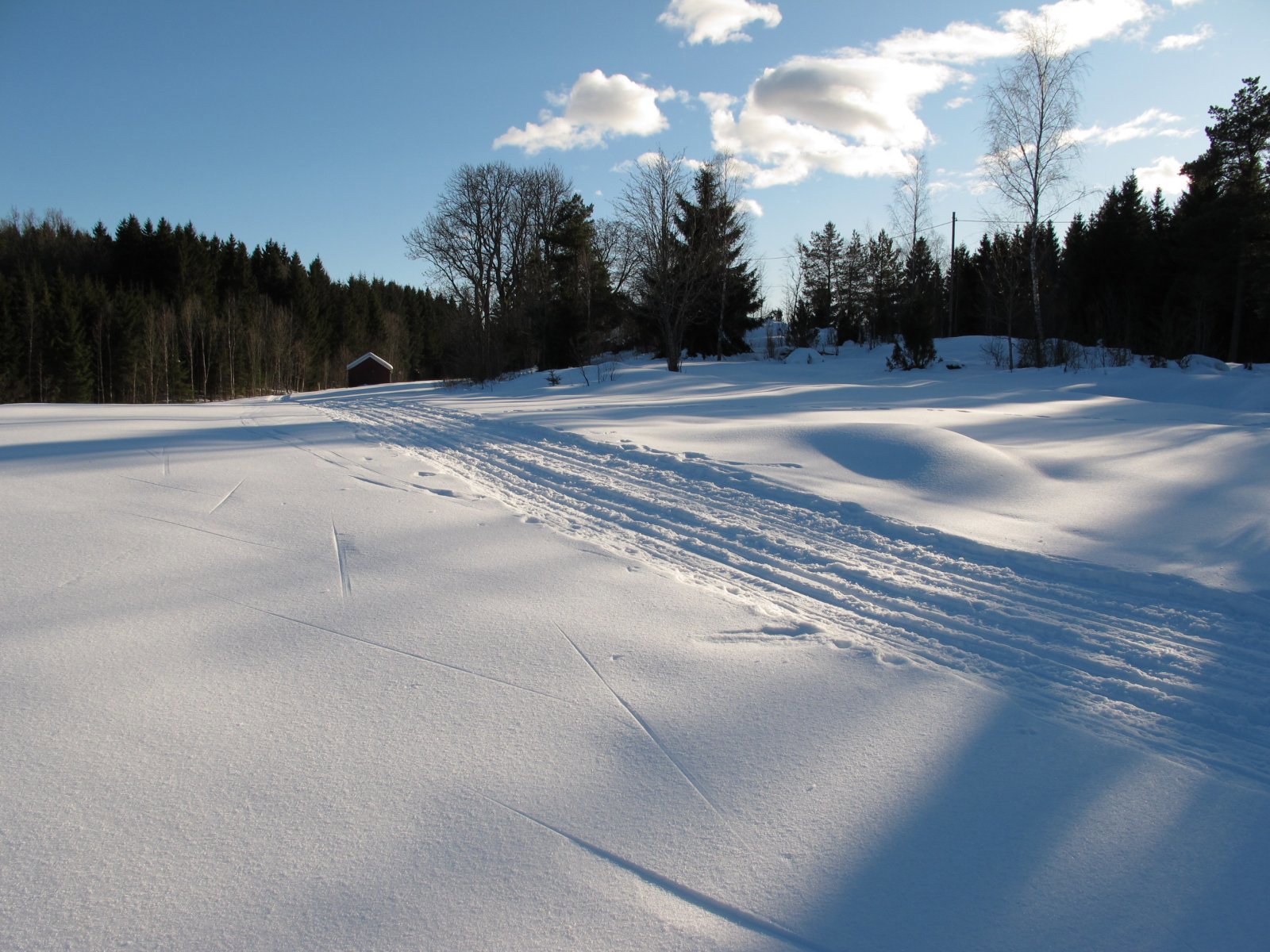 På skarpt vårføre