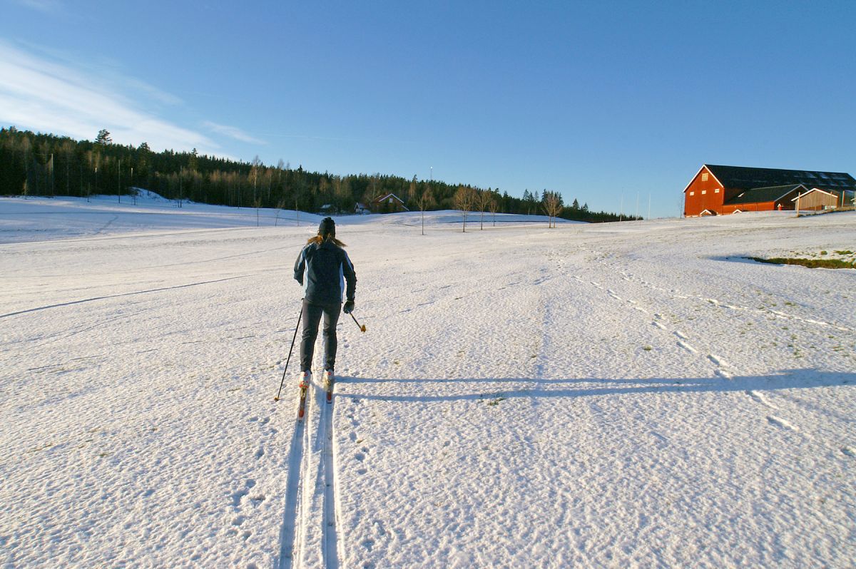På ski i Sørmarka