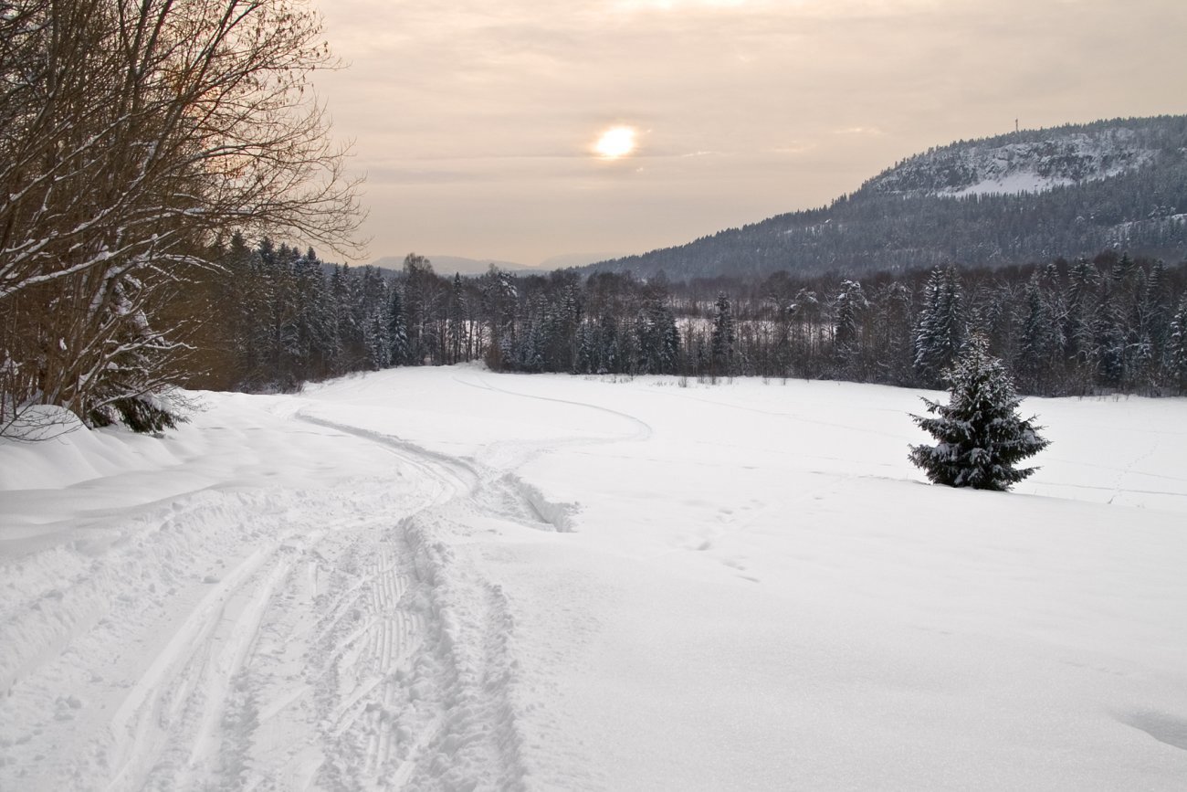 På ski mot Dælivann