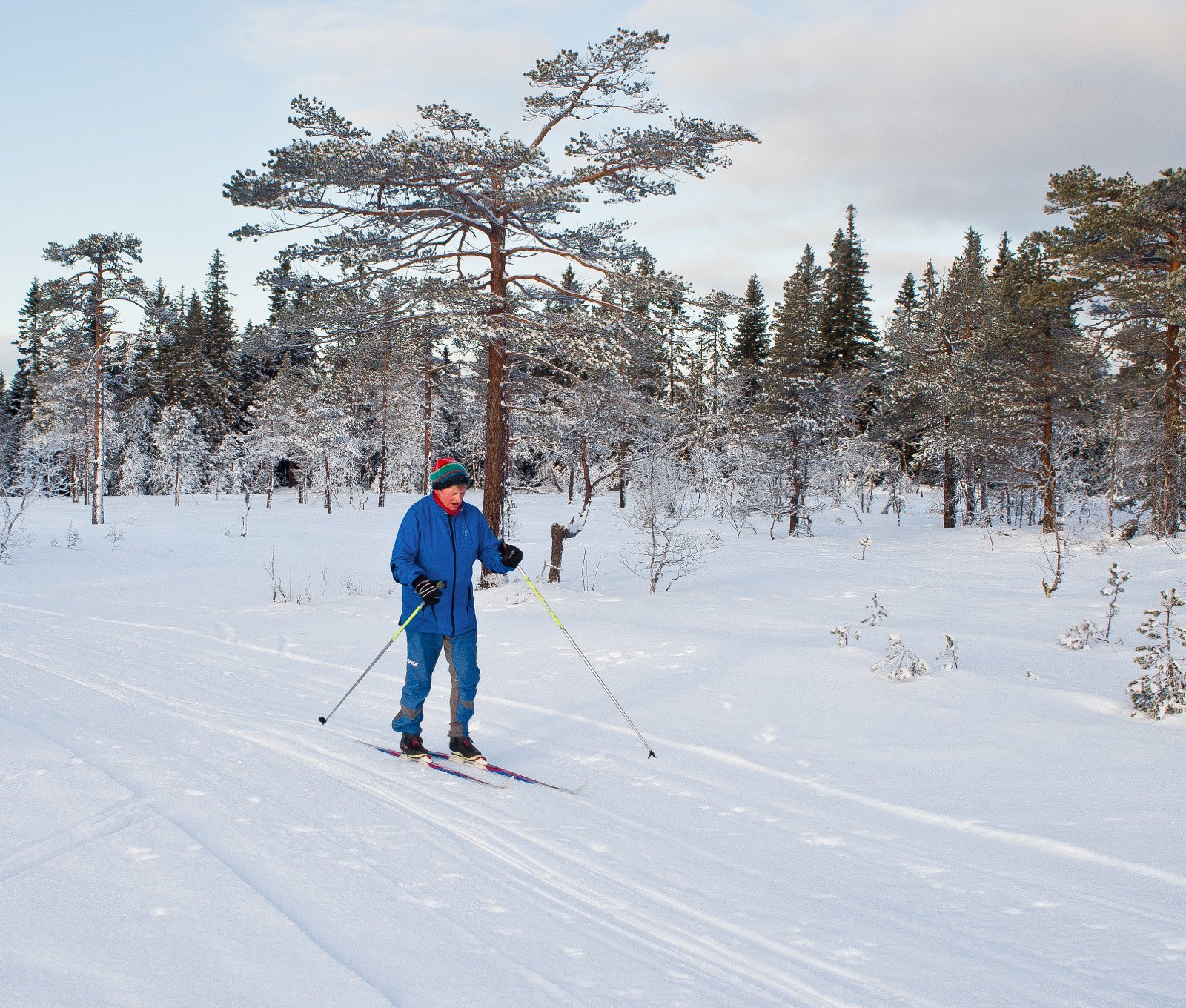 På ski over Torgeseterhøgda