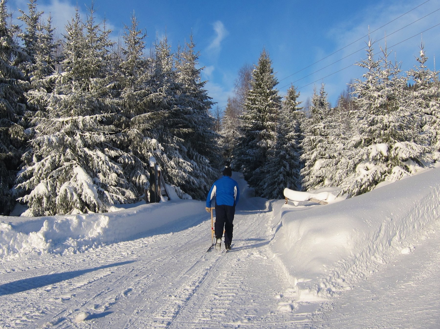 På spark fra Ospekollen