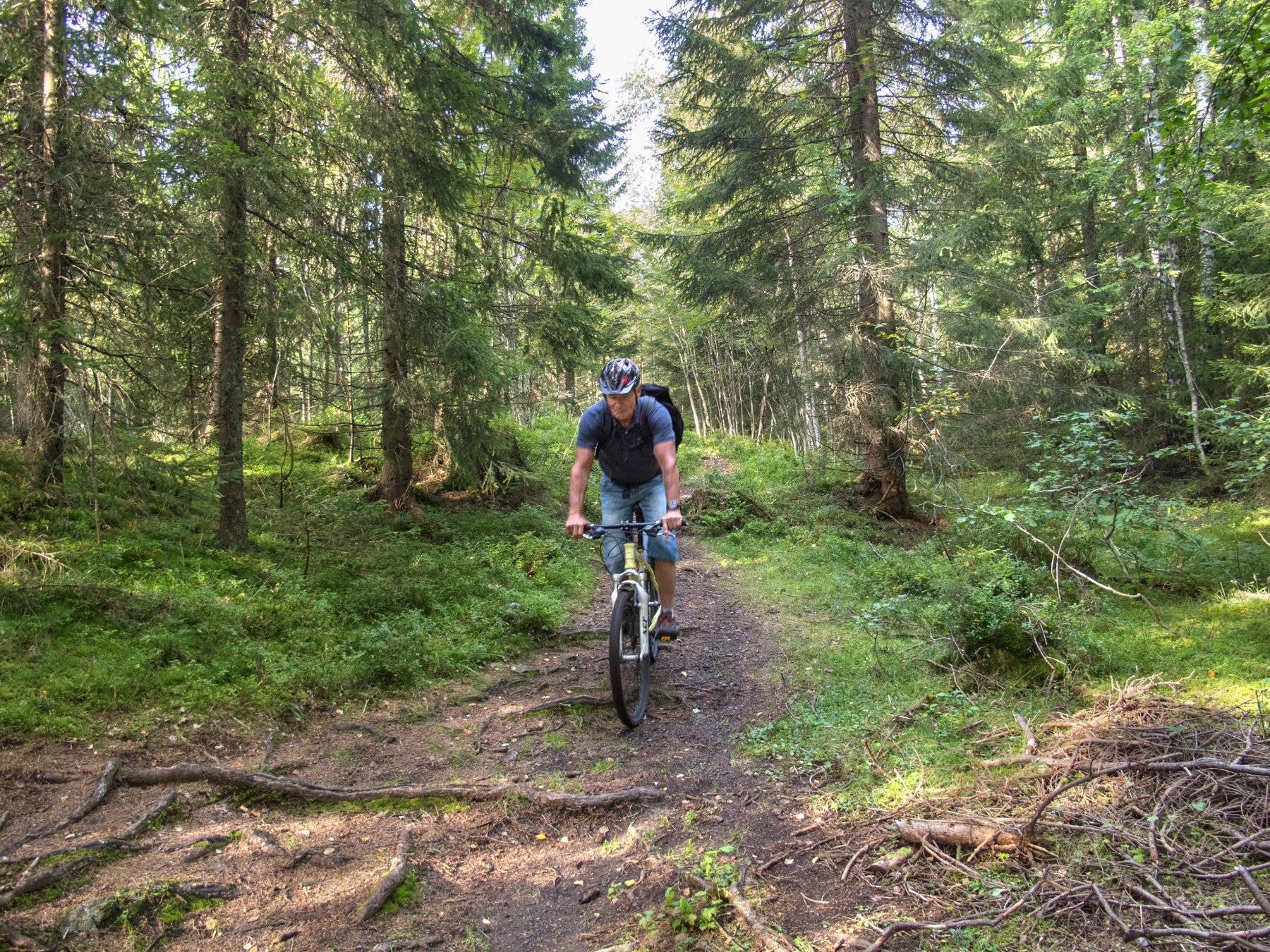 På sti mot Smalgjermenningen