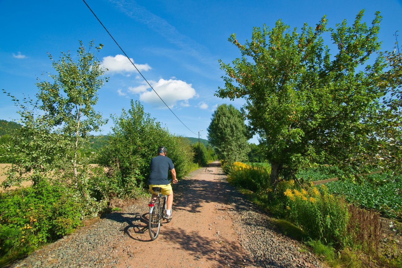 På sykkel gjennom fruktbygda