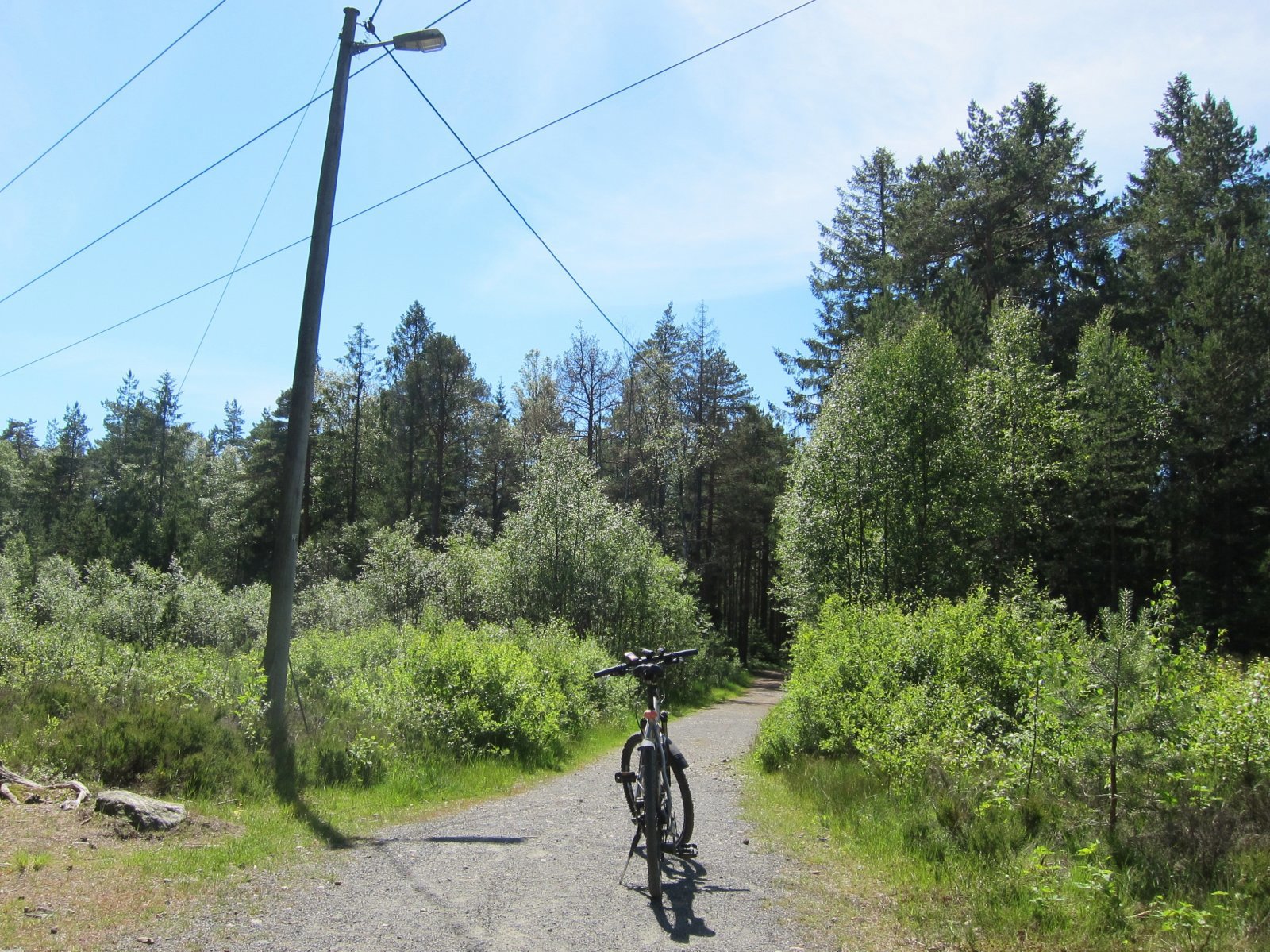 På sykkel i lysløypa