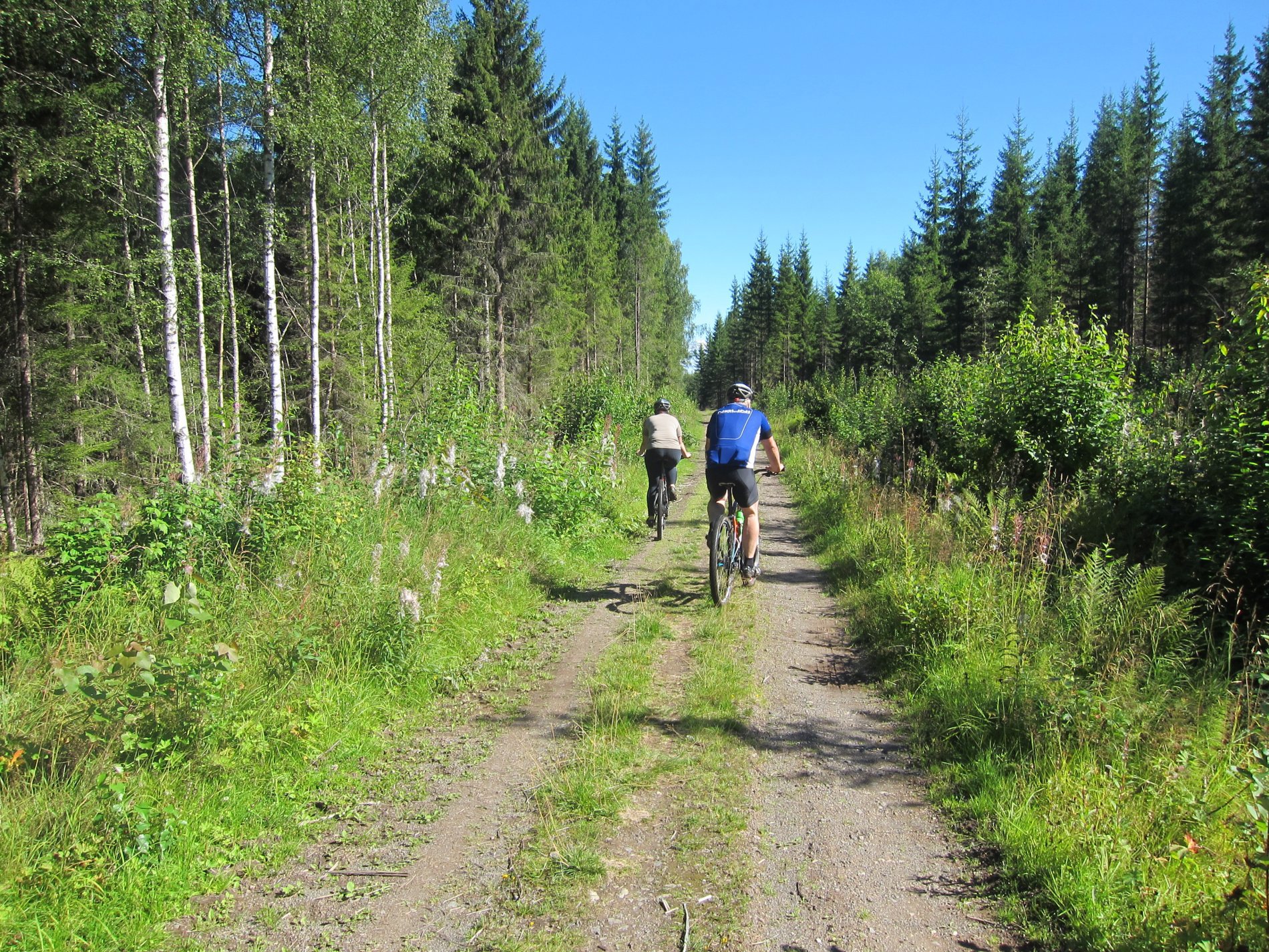 På sykkeltur gjennom Bergsmarka