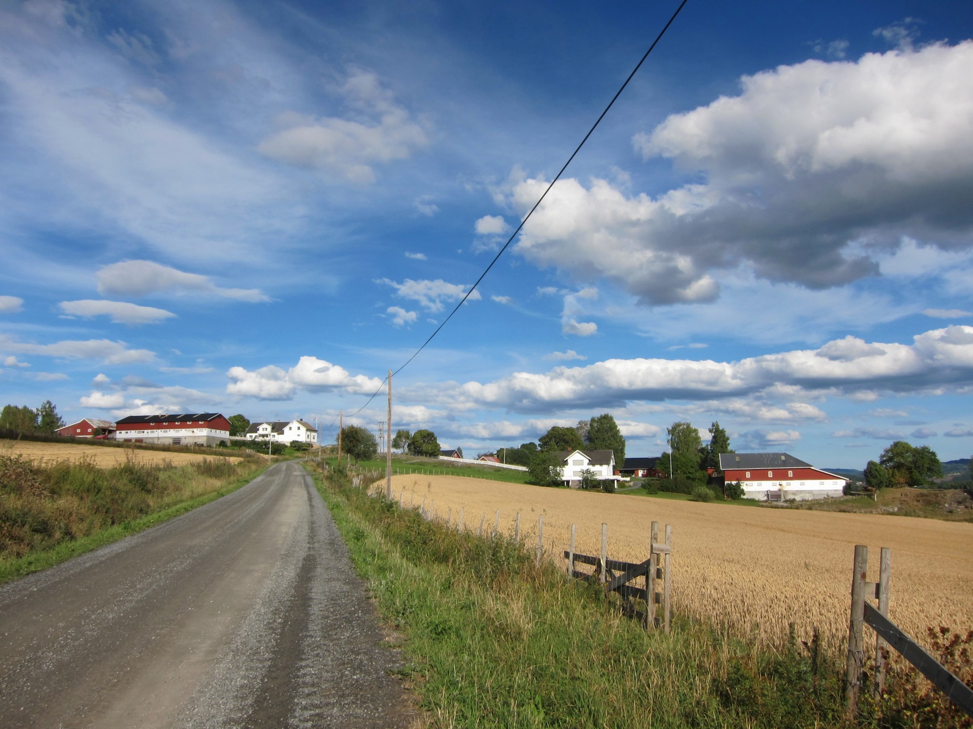 På sykkeltur i Sognsbygda