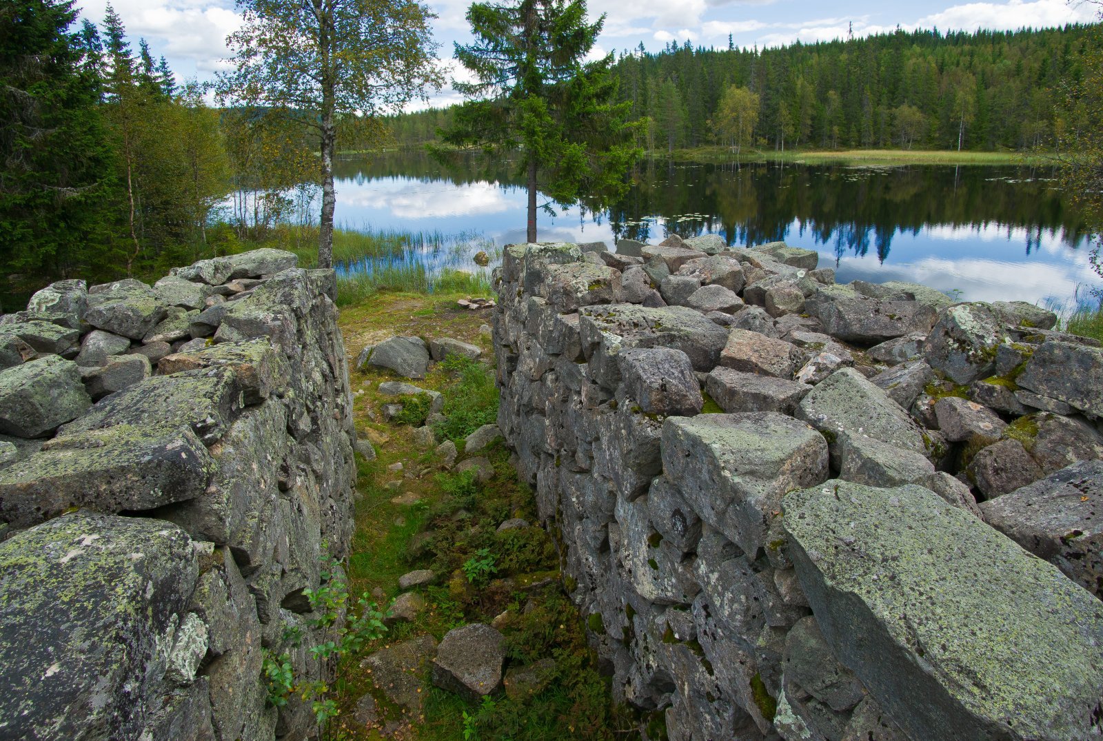 På toppen av kjerraten