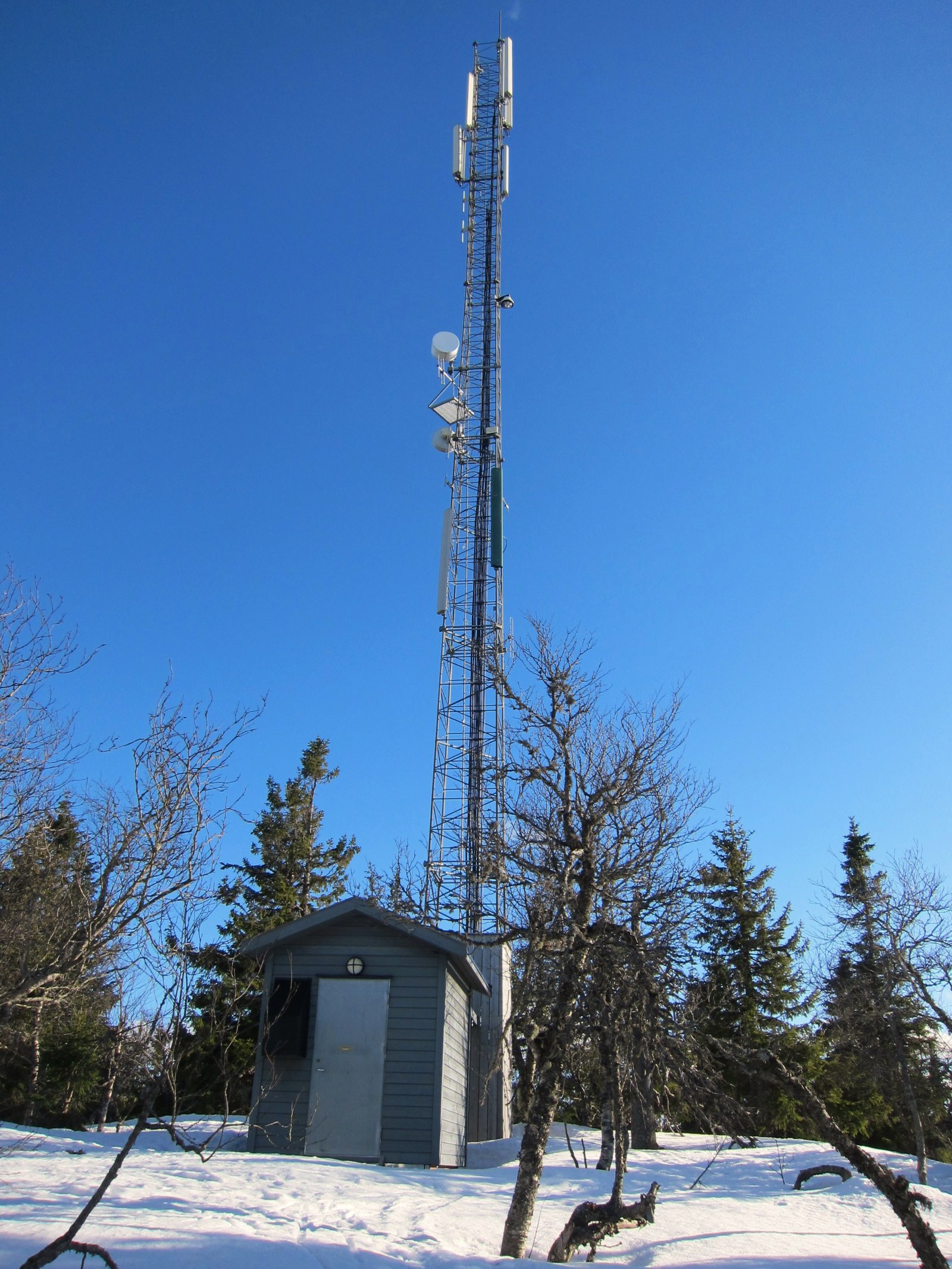 På toppen av Totenåsen