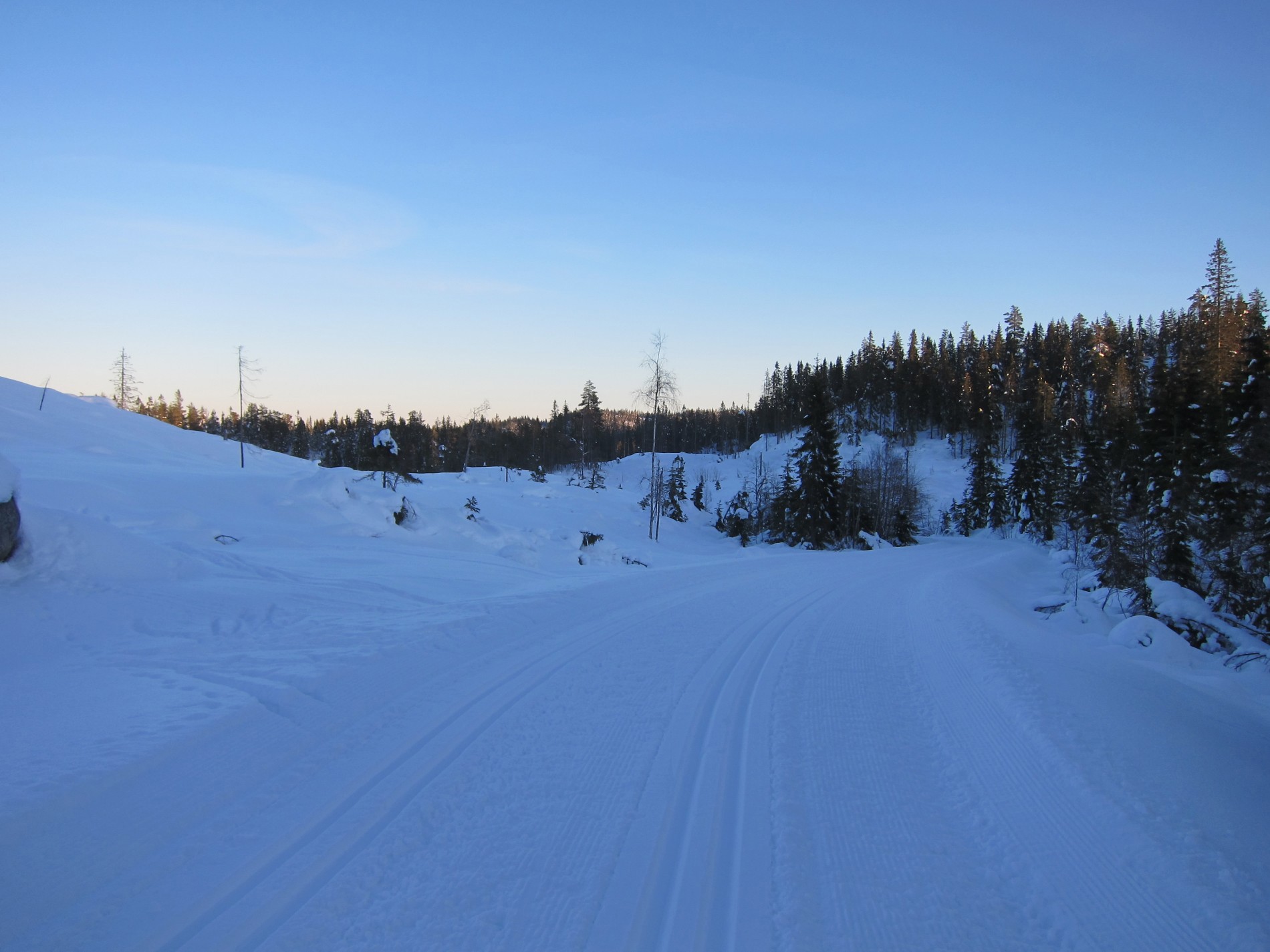 På toppen mellom Brøstadvangmyra og Grønnsjøen