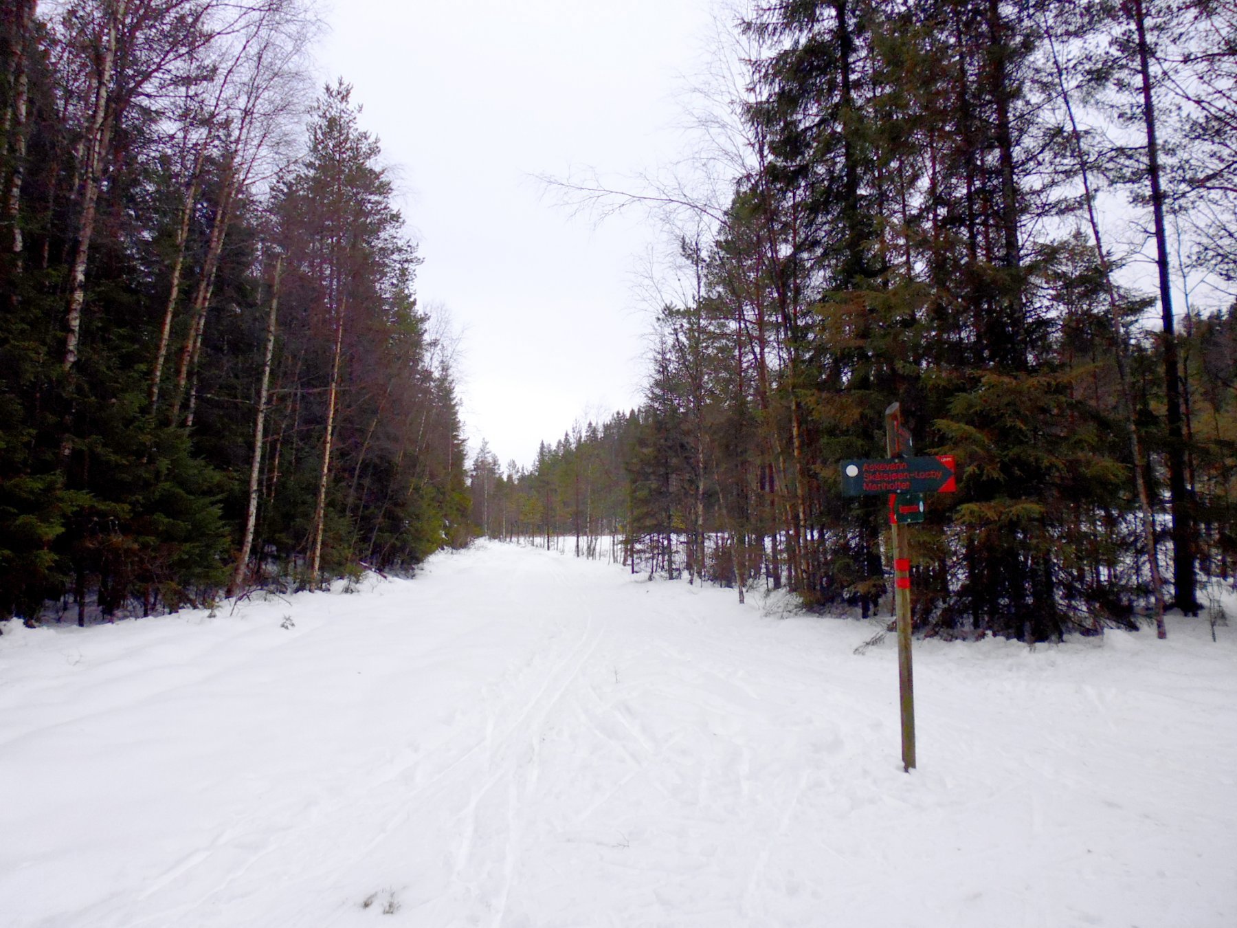 På tråkkede spor i skogsløypen ved Nordre Kjerrmostjern