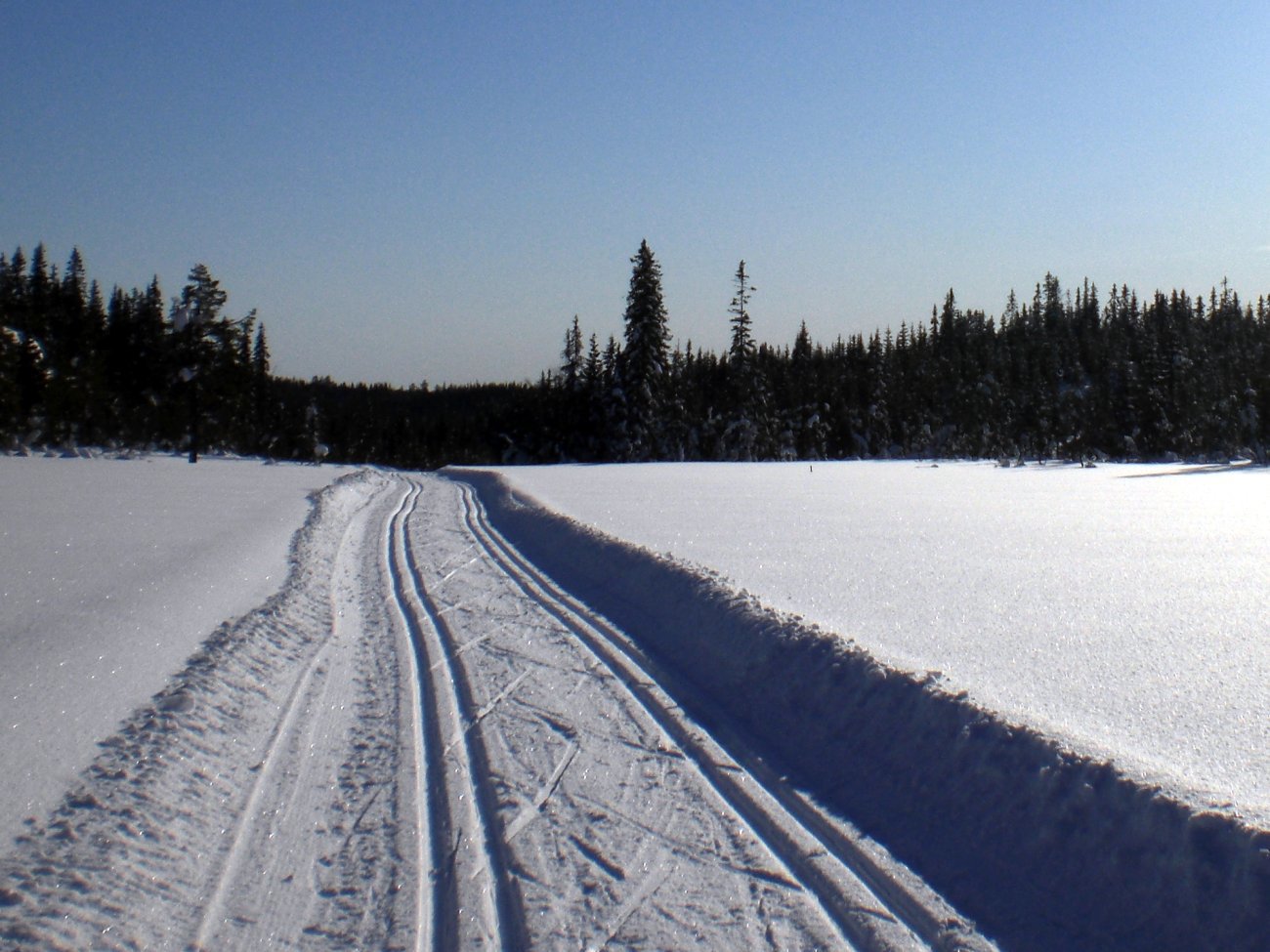 På Trollmyra på vei til Trolldalen