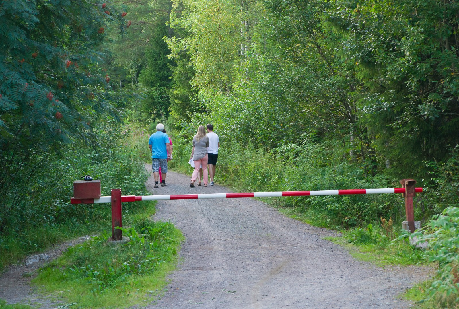 På tur fra Tumyrhaugen