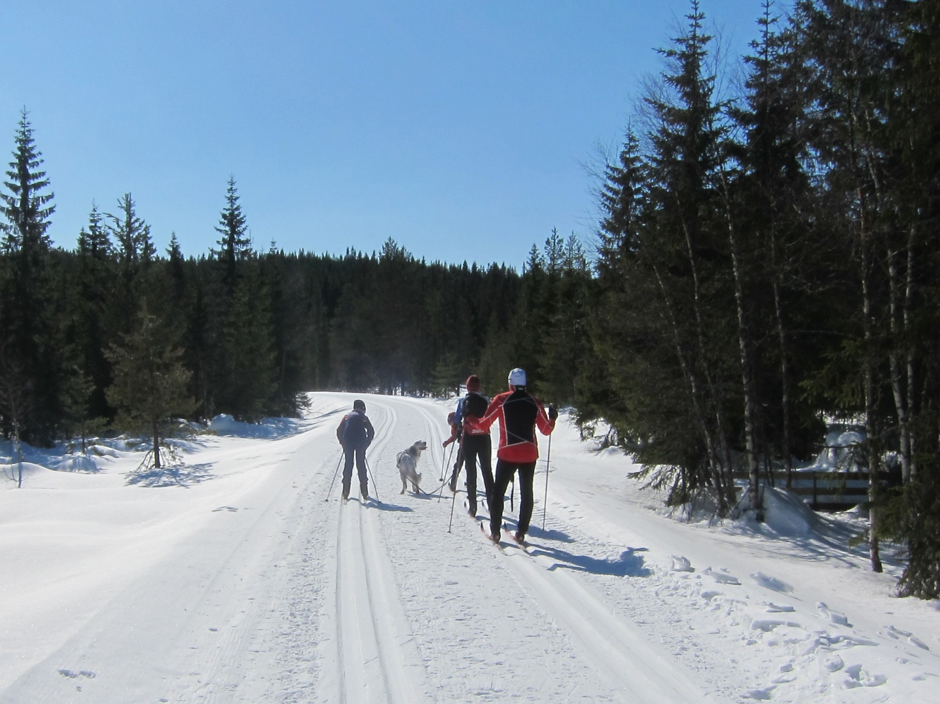På tur ved Lavtjernet