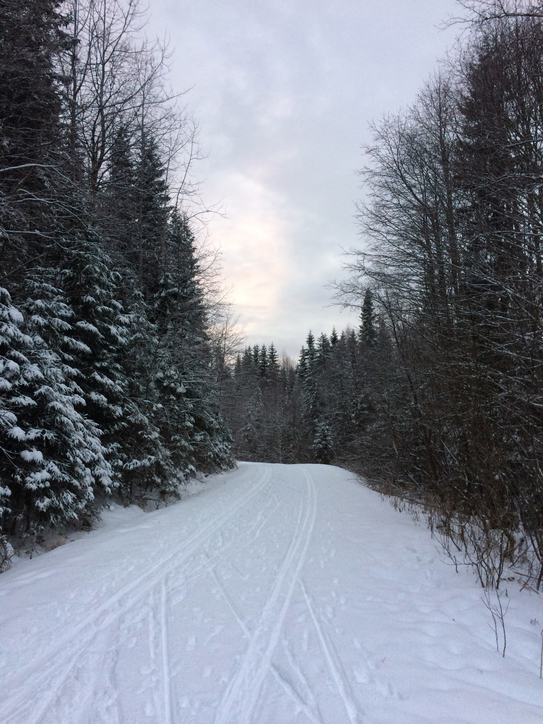 På vei inn i den blå timen