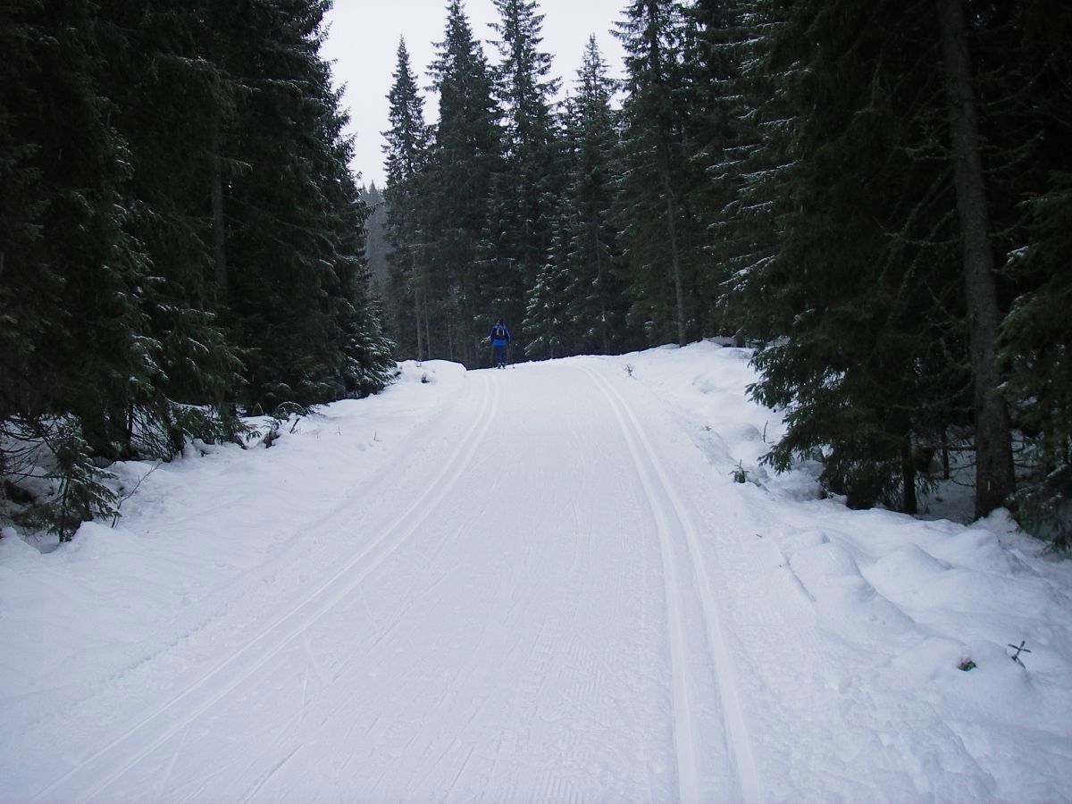 På vei mot Åssjøen