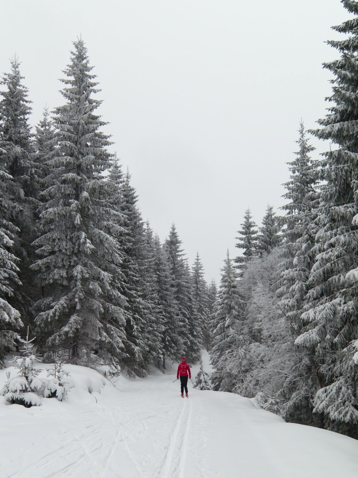 På vei mot Damvann i sneværet