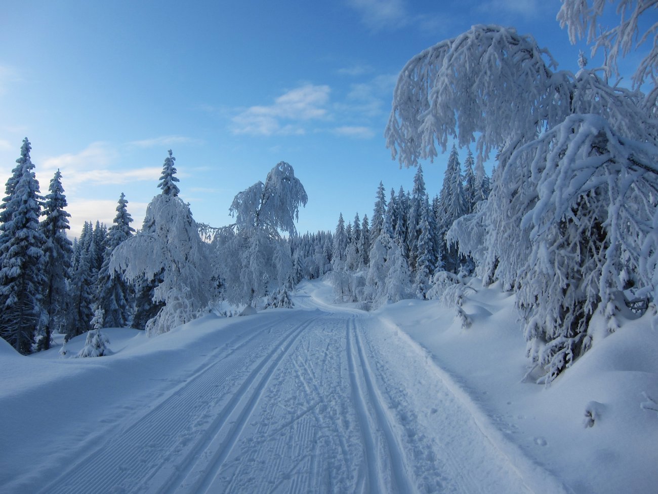 På vei mot Engelstadvangen