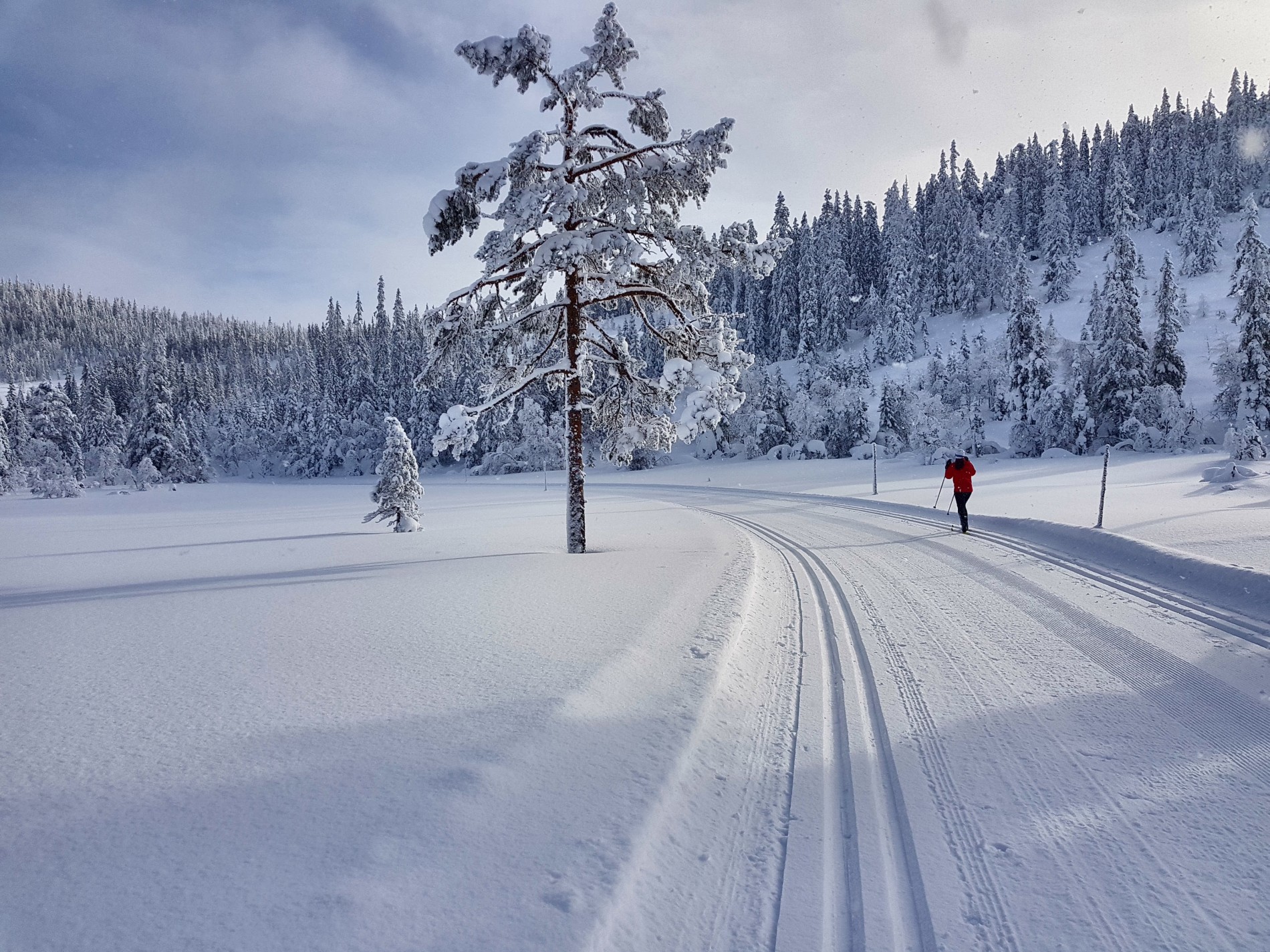 På vei mot Lushaughytta