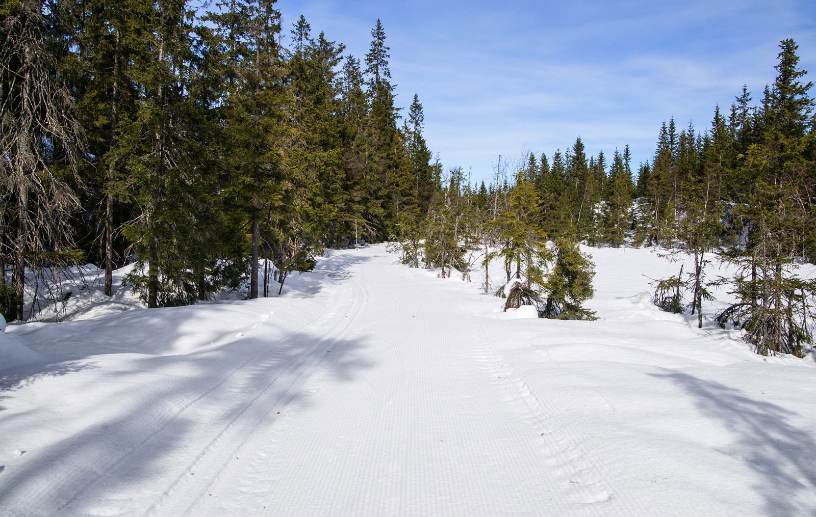 På vei mot Porthøgda