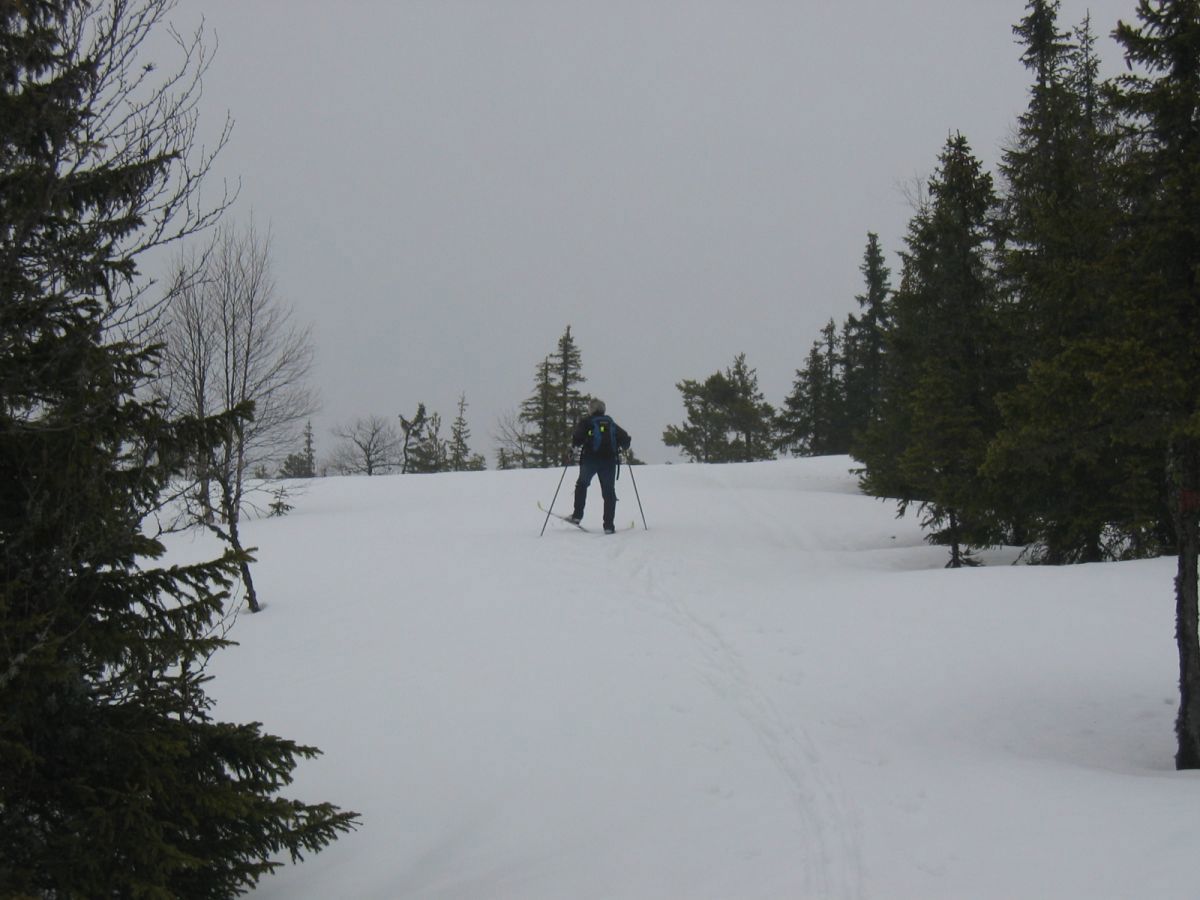 På vei mot Ringkolltoppen