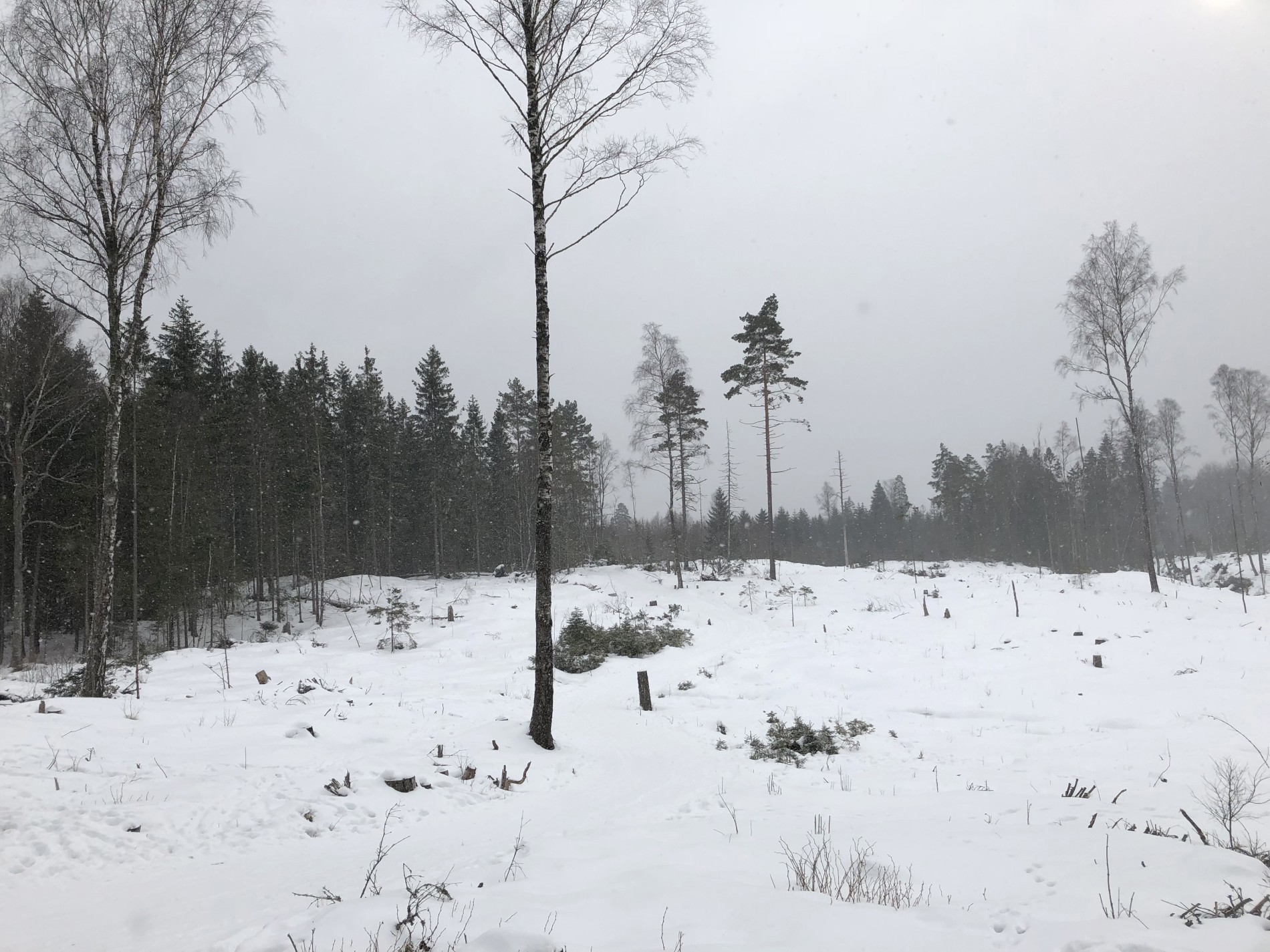 På vei mot Smørbekk