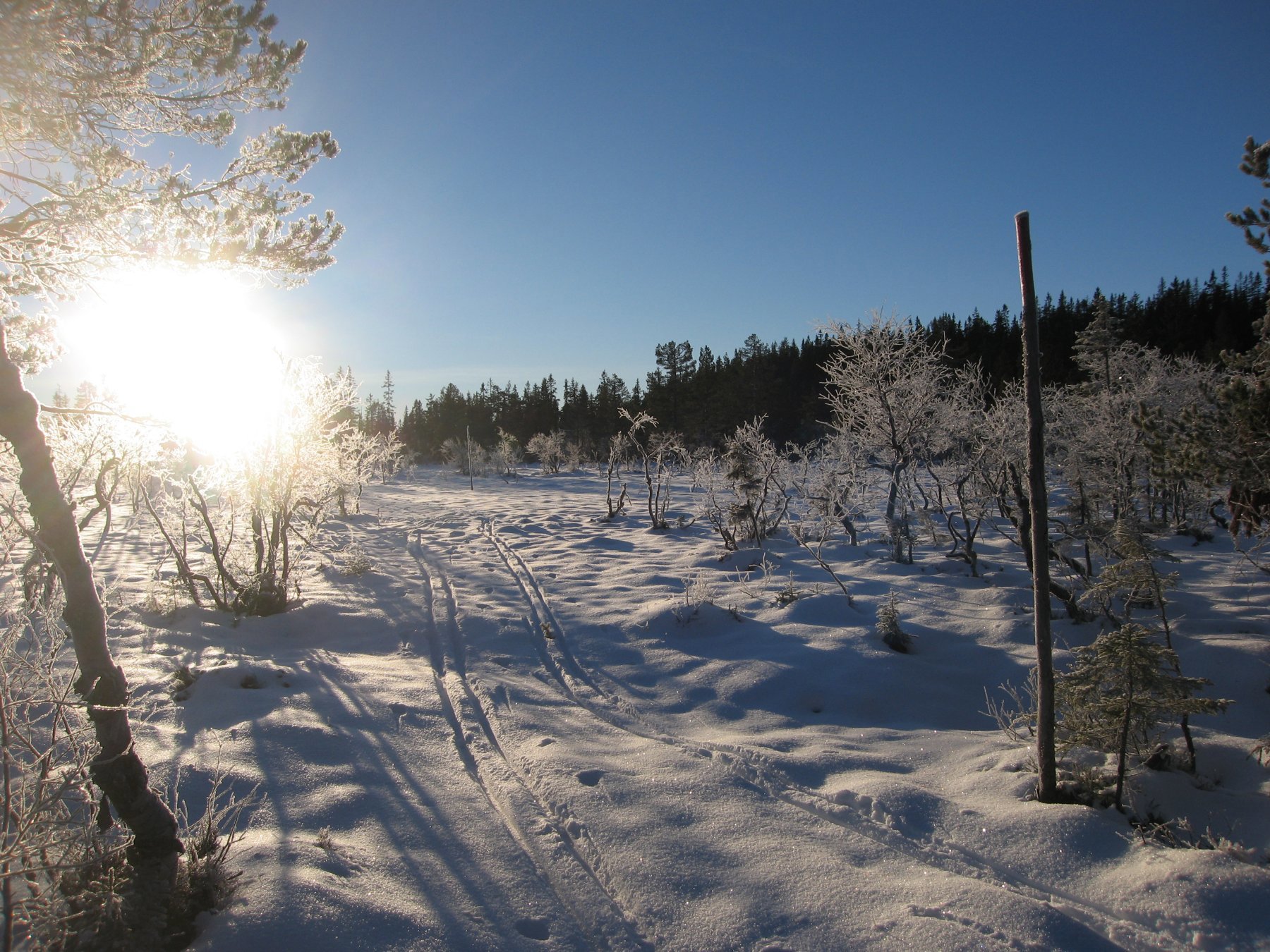 På vei mot Venehaugene 1. juledag