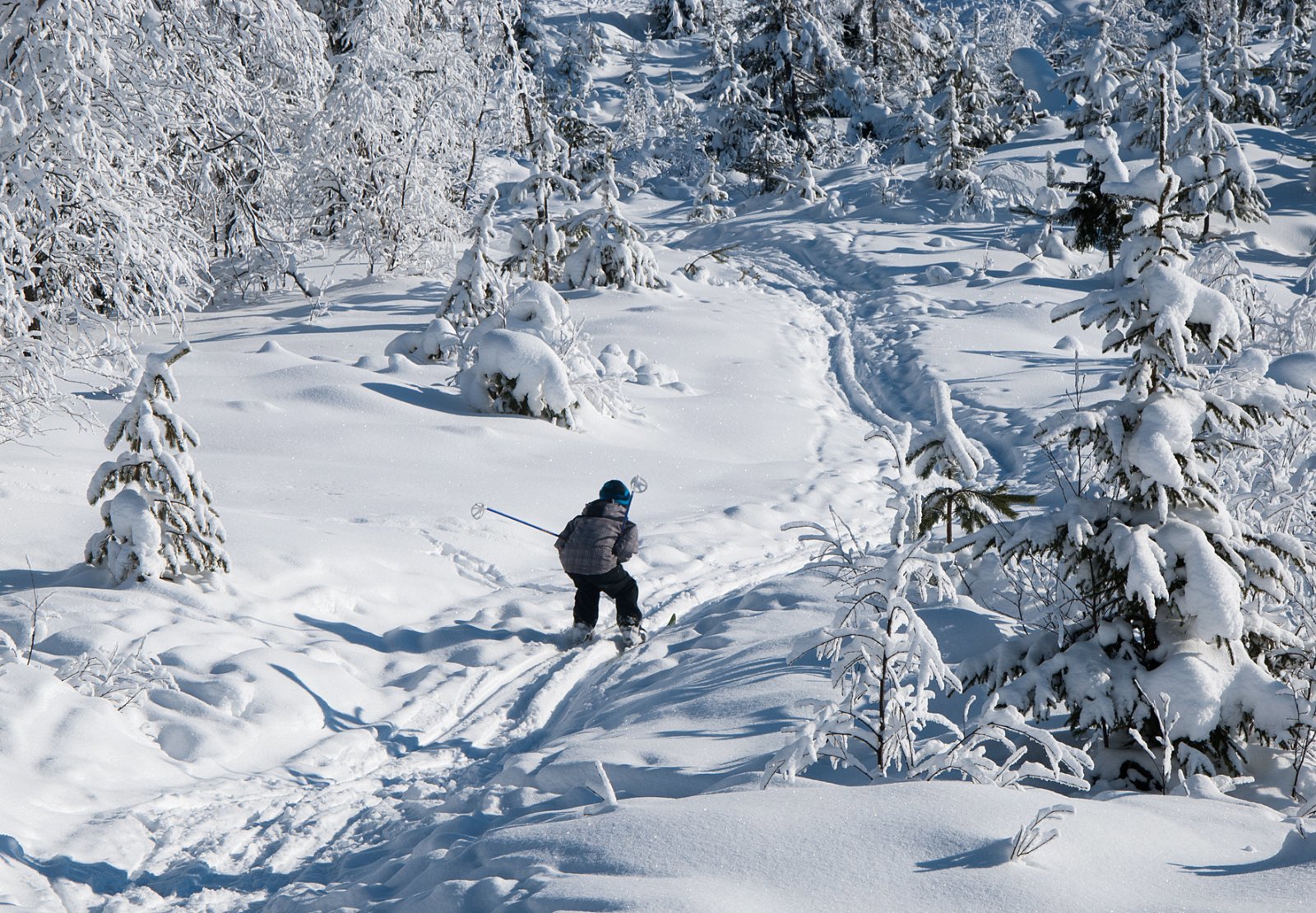 På vei ned fra Brenntoppen