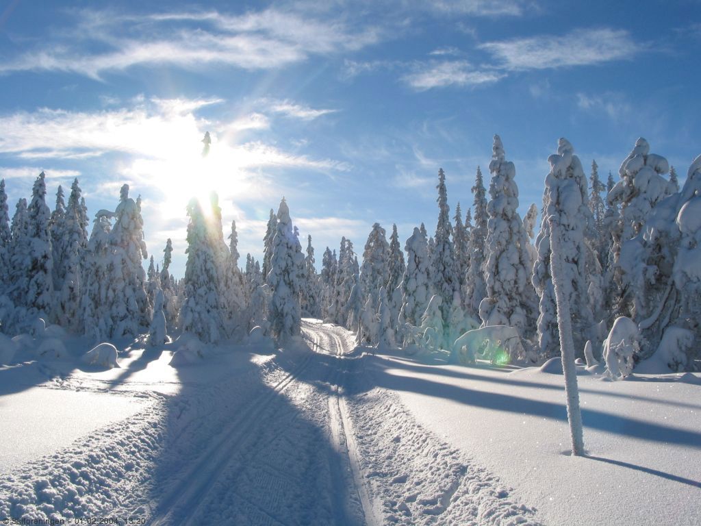 På vei over Ringsmyrene