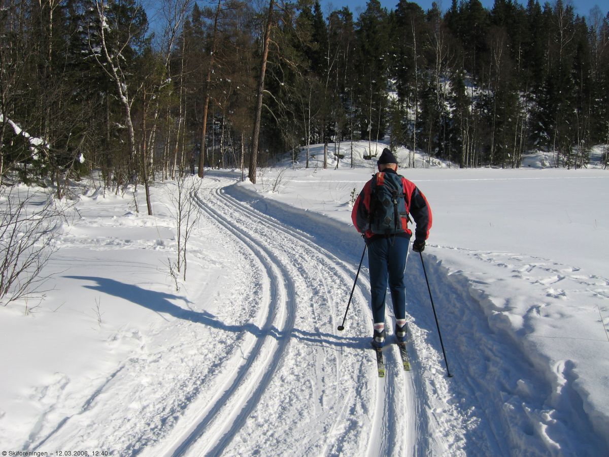 På vei sørover i det flate landskapet mellom Steinsjøen og Vangen.