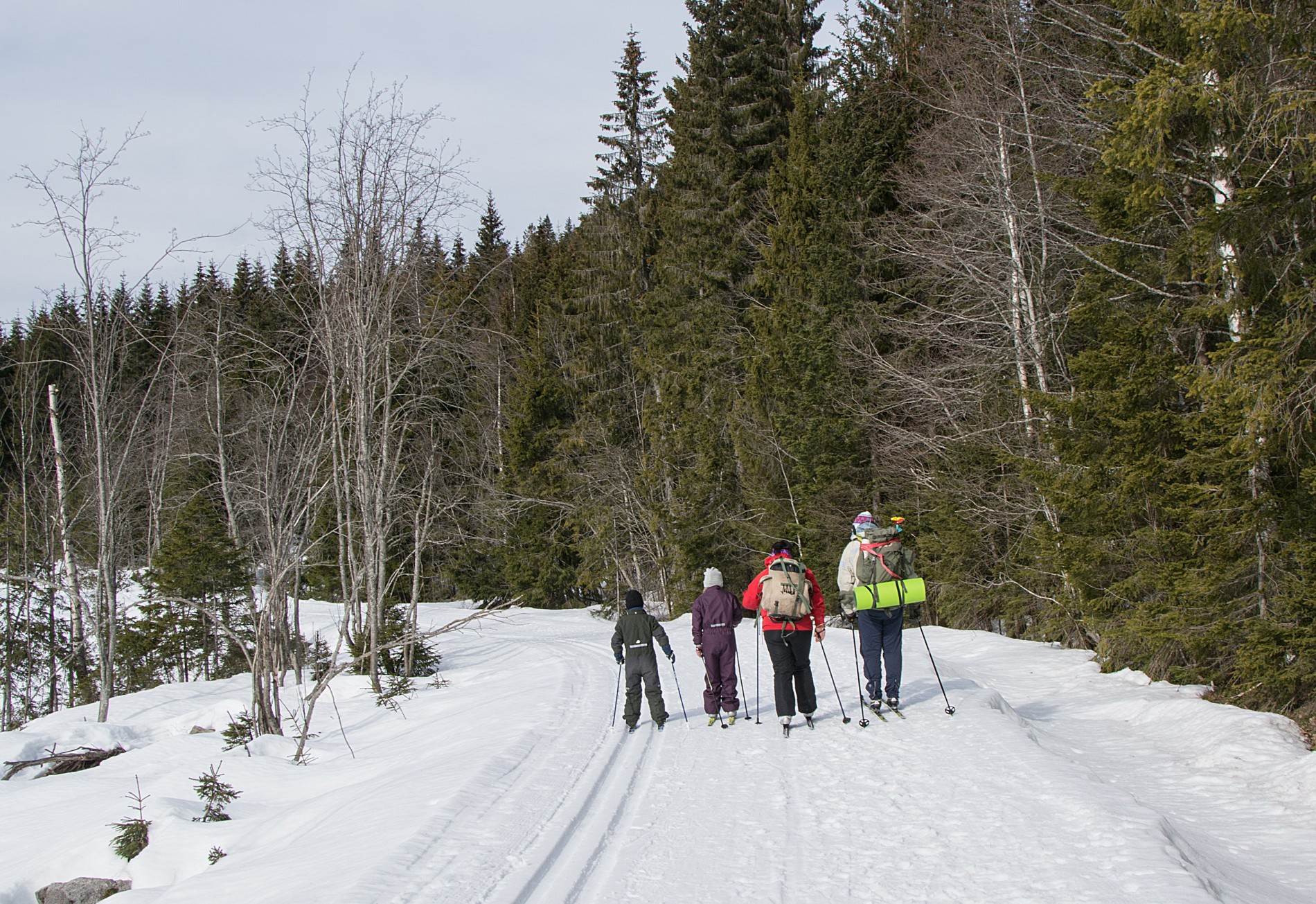På vei til Fjellsjøen