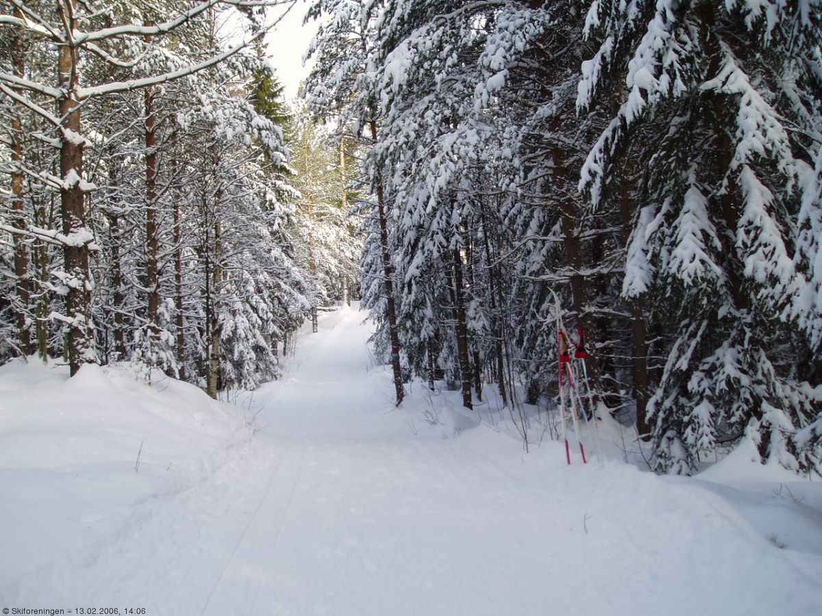 På vei til Rundvann i Østmarka
