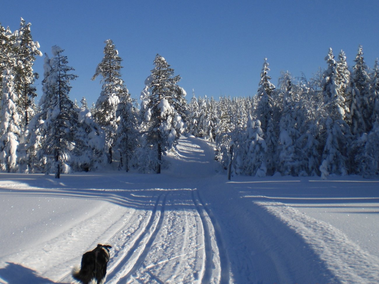 På vei til Skihytta