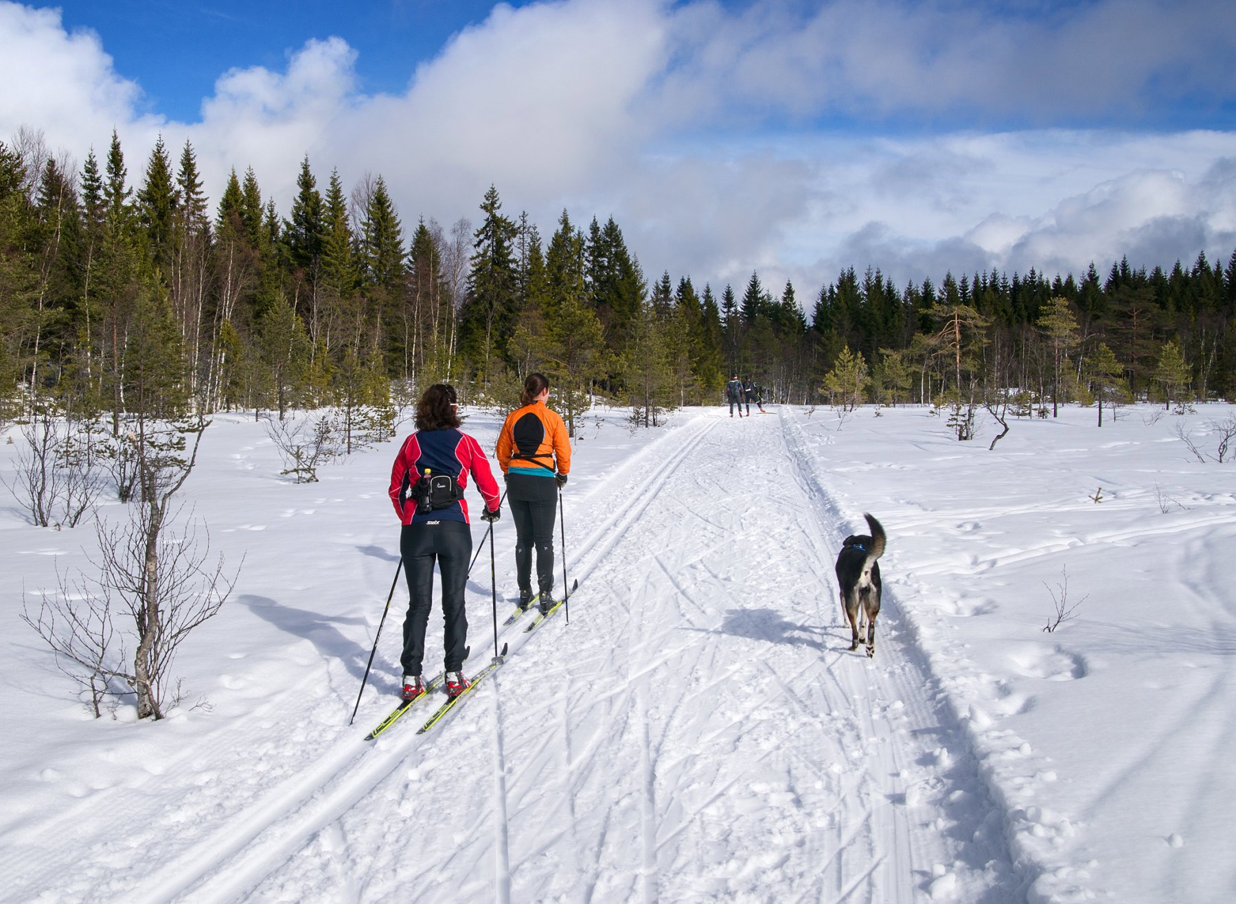 Palmesøndag på Stormyra
