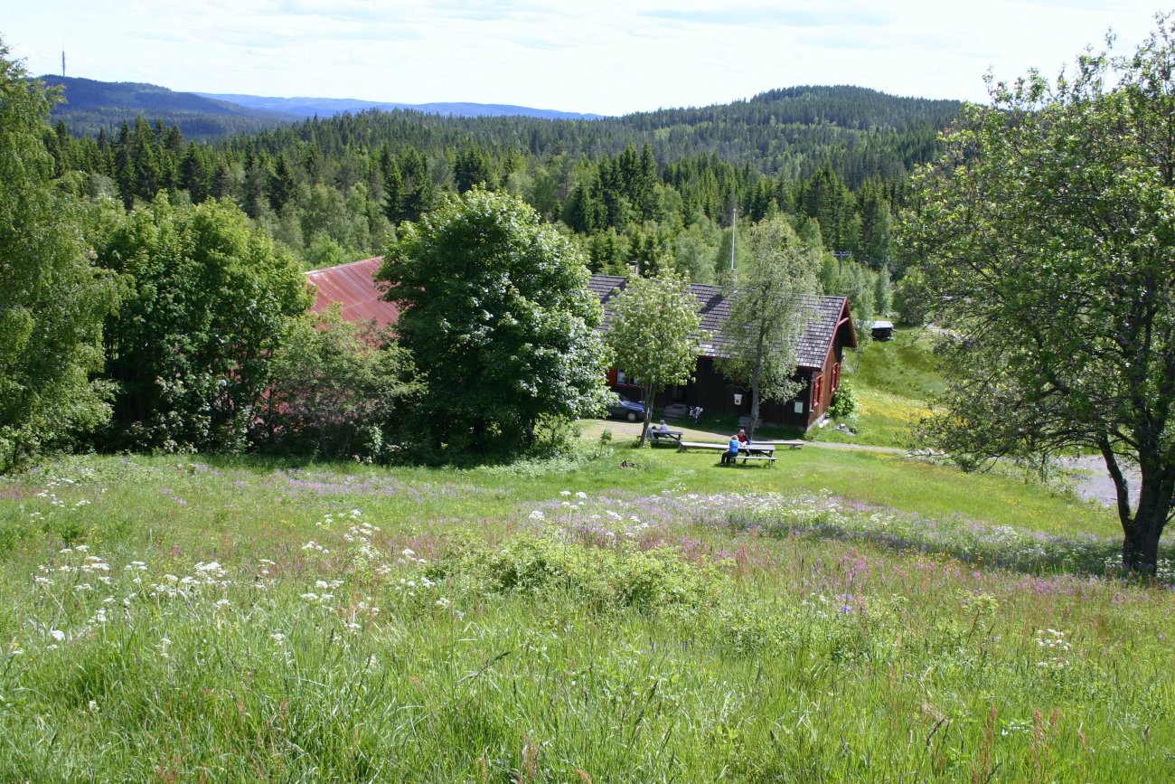 Panorama i Lillomarka