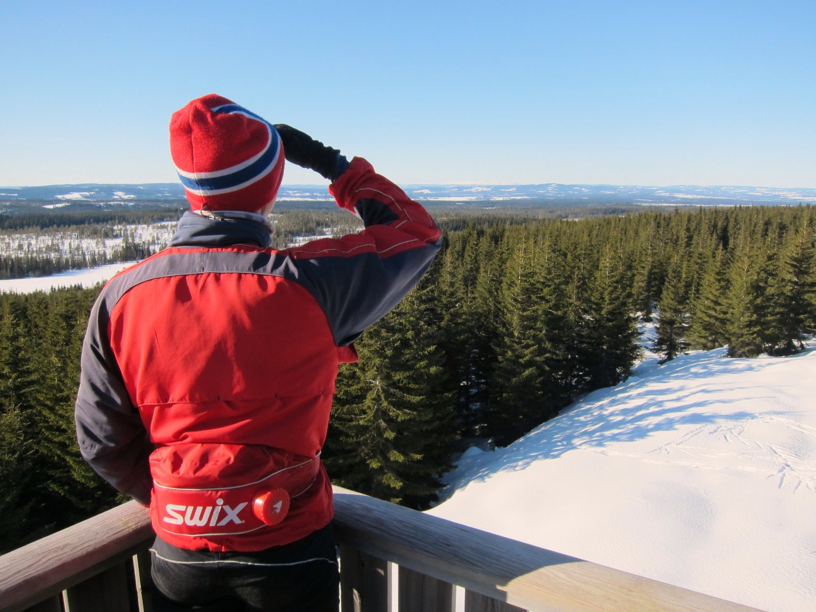 Panorama mot Synnfjell