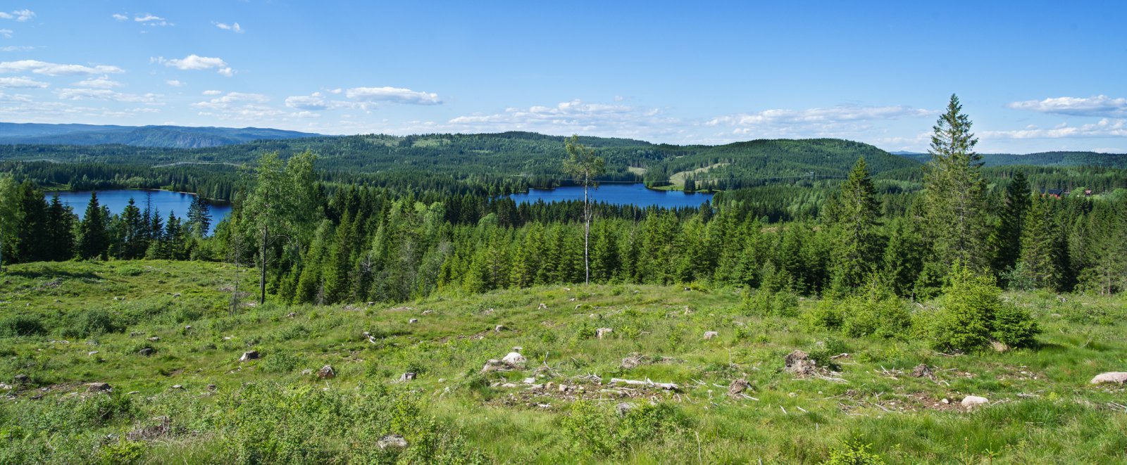 Panoramautsikt mot Store Sandungen