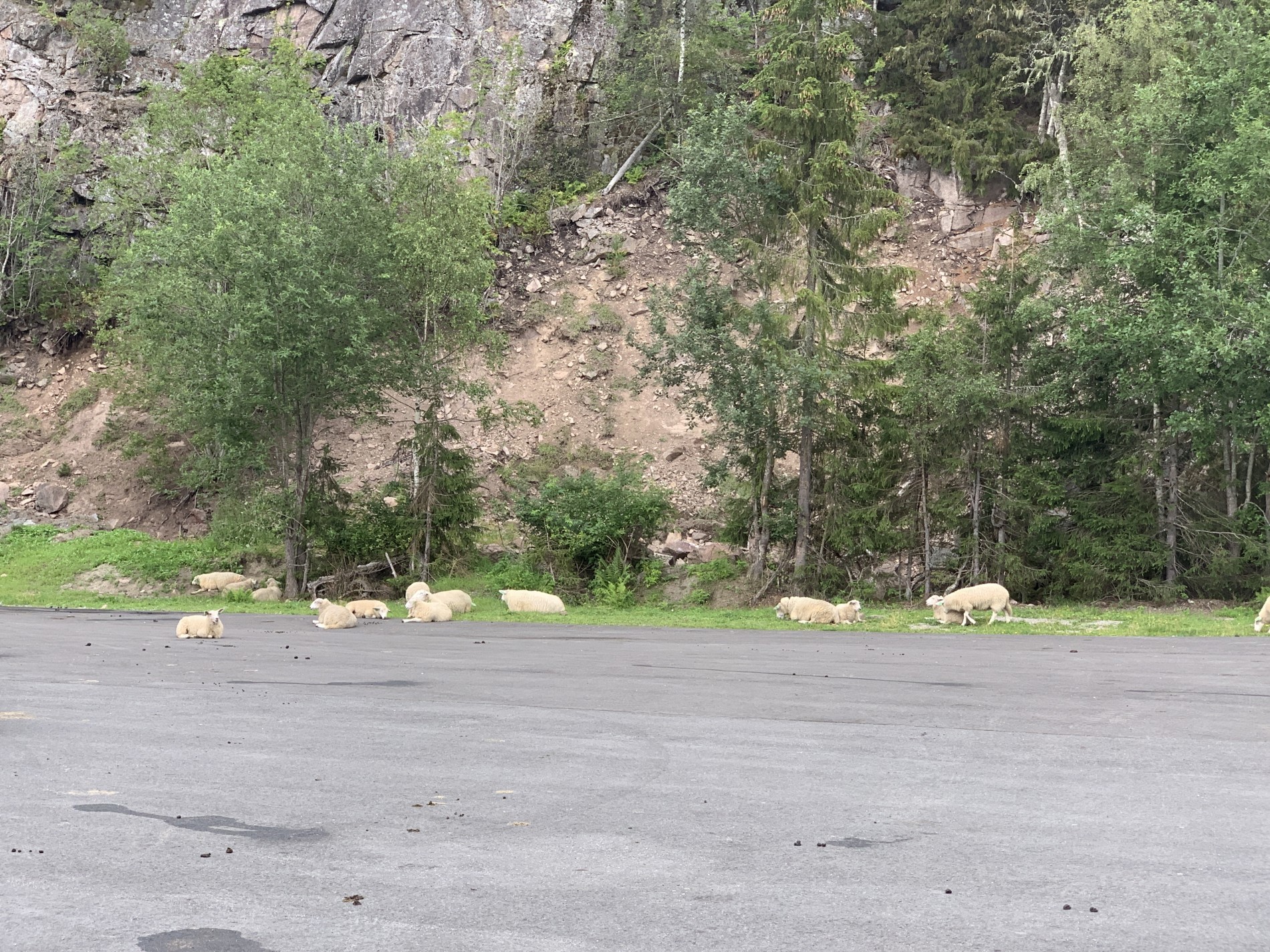 Parkeringsplassen på Kleivstua har fått asfalt