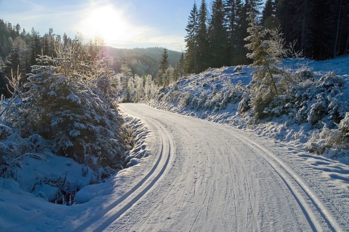 Parti fra løypen mellom Monsebråtan og Myrseter